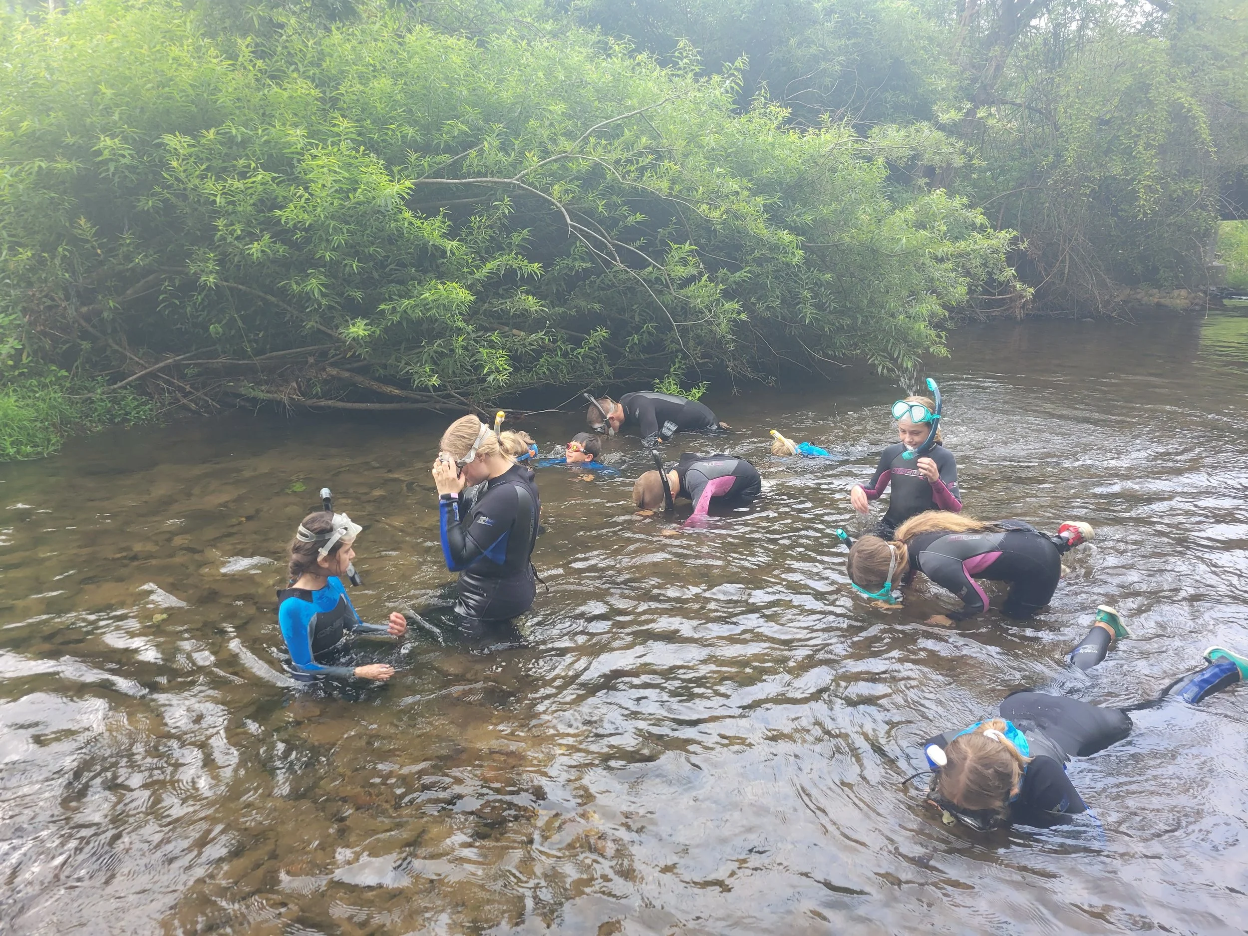 20250801_101414.jpg