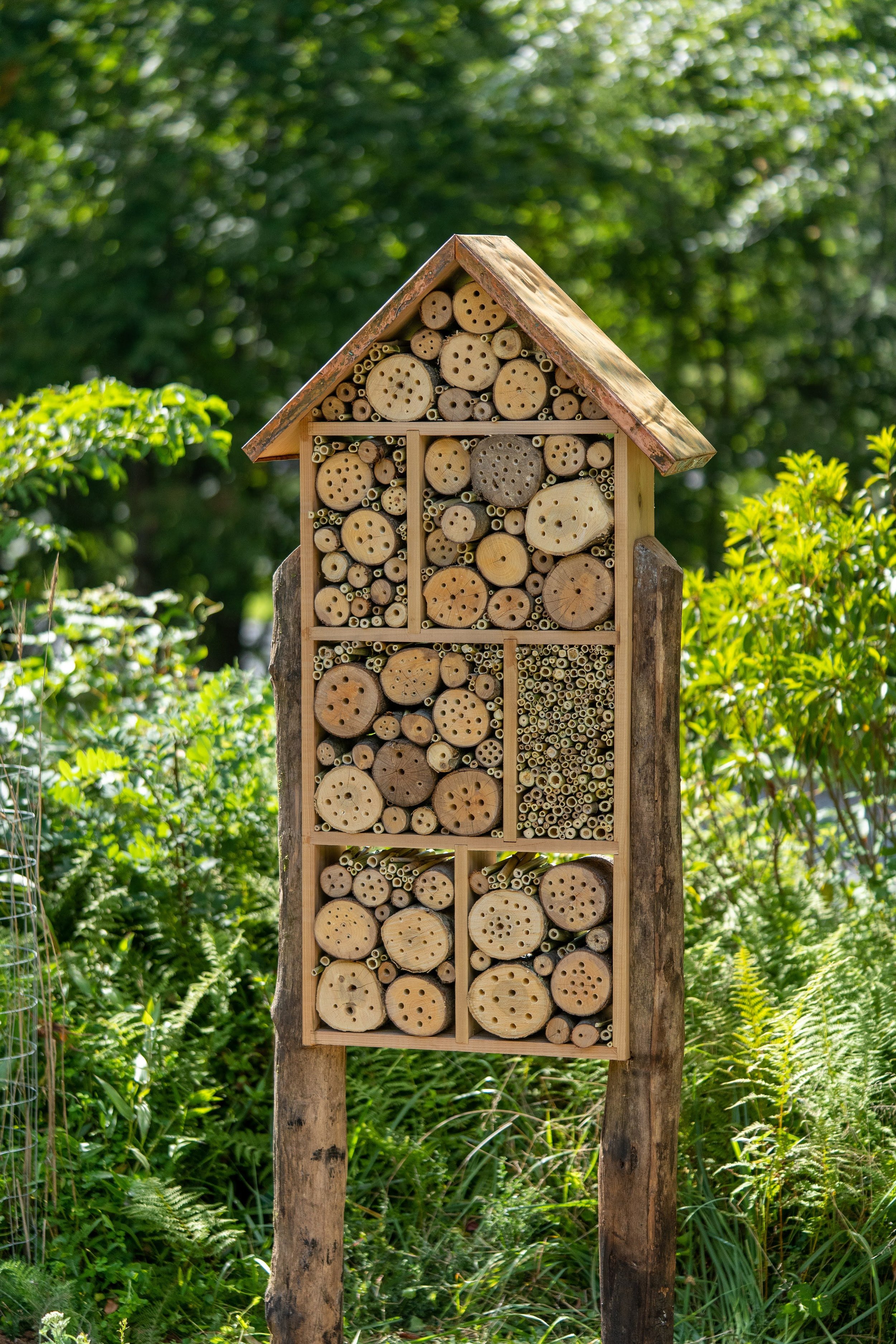 Build a Bee Hotel for World Bee Day