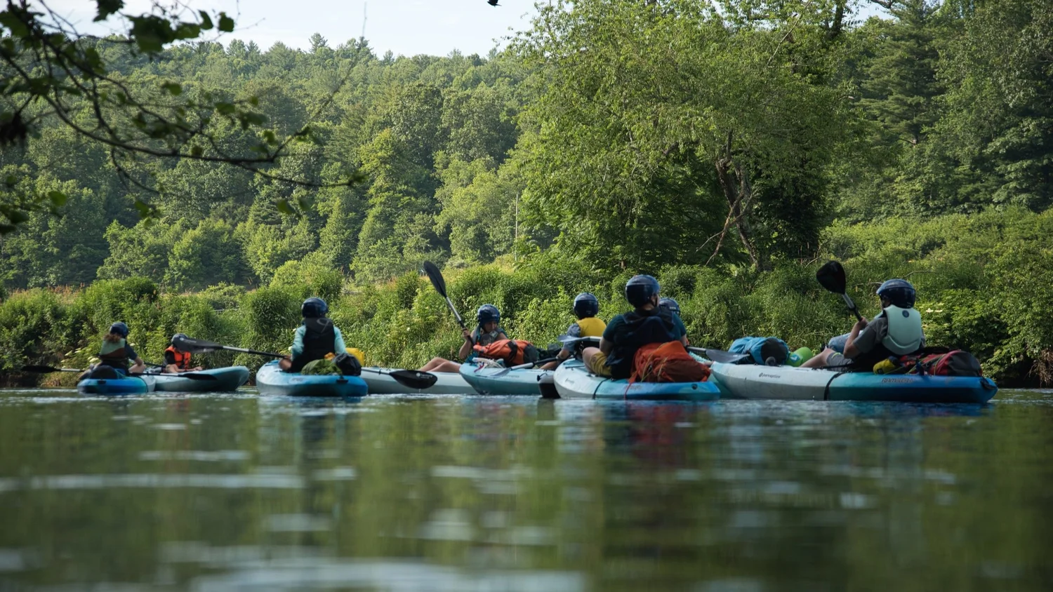 Blue Ridge Discovery Center