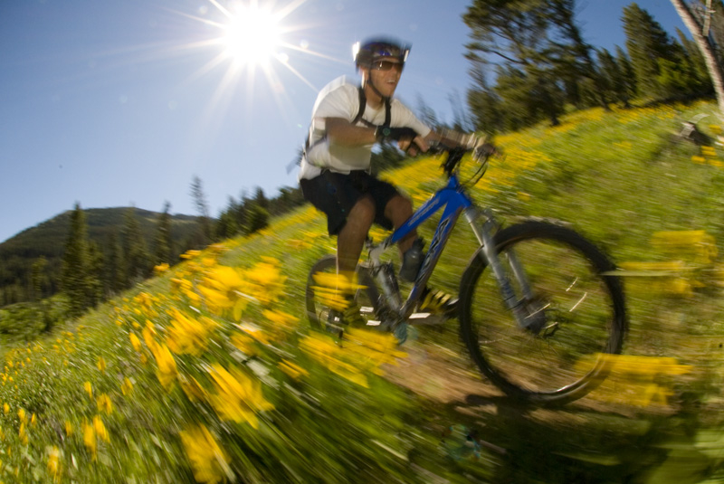Balsamroot Blur