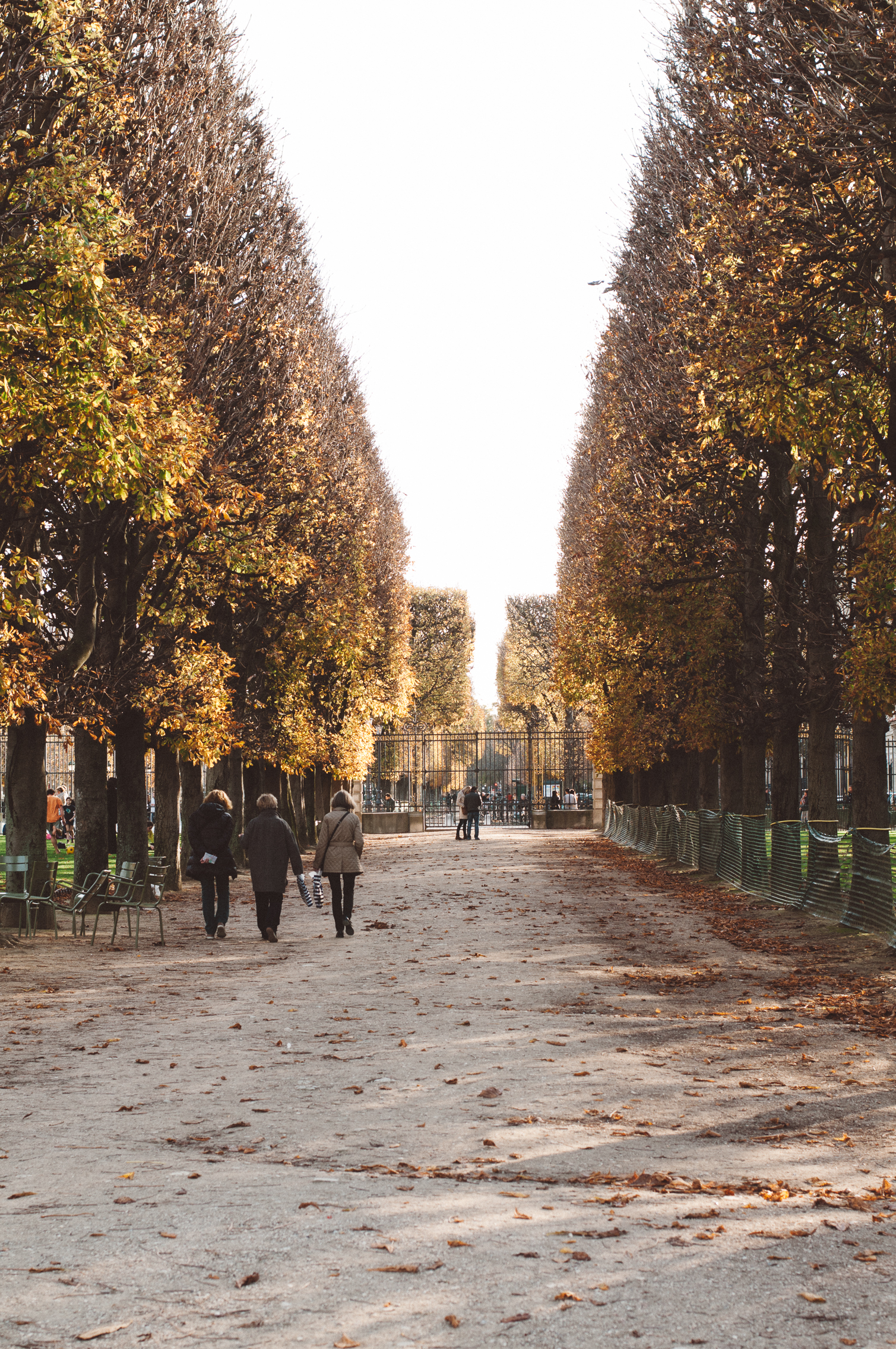 Luxembourg Gardens in the fall