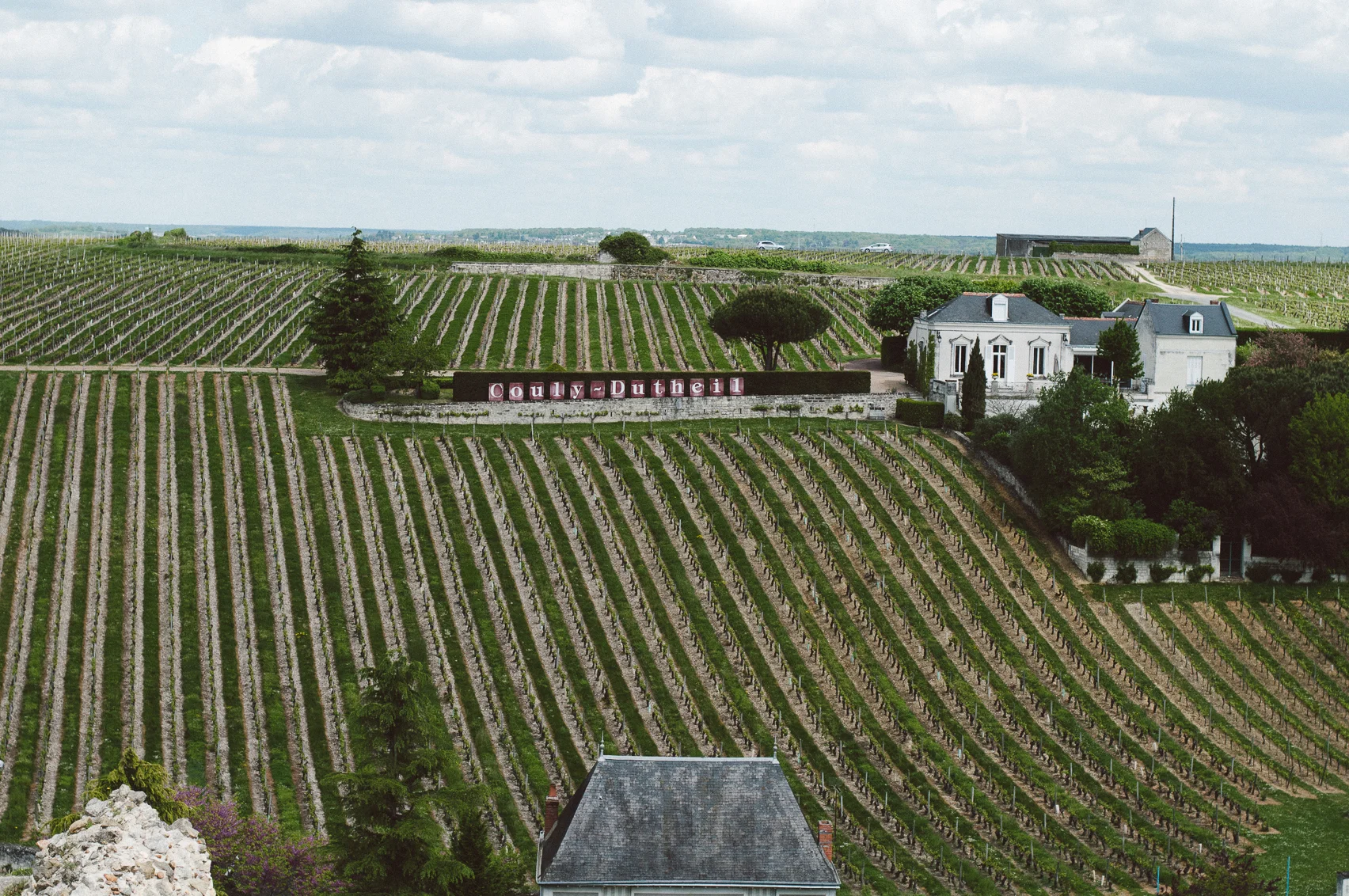 Vinyards in the Loire Valley.