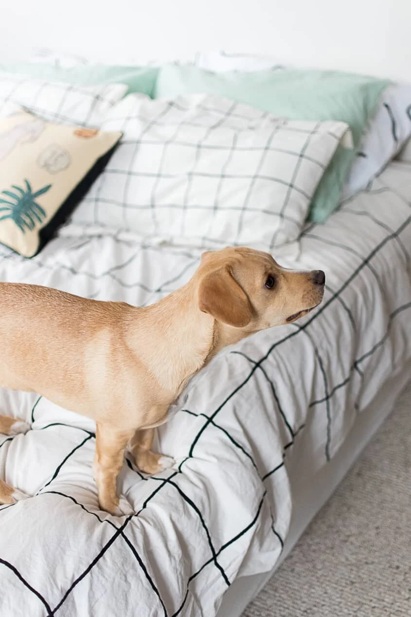 at_house tours_archive_Maria Branco_f7c02c1593d39ecada707f3d4b501921d05c1e26.jpeg