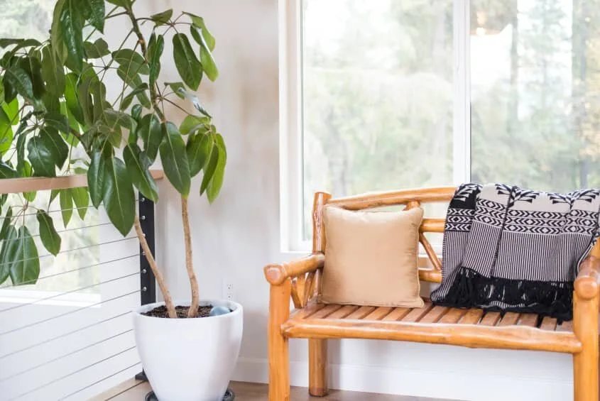 at_house tours_archive_My Alaskan Home - Tanya and Carson_6631b926f0723ed23c9c60c5cdd0205830bfbf15.jpeg