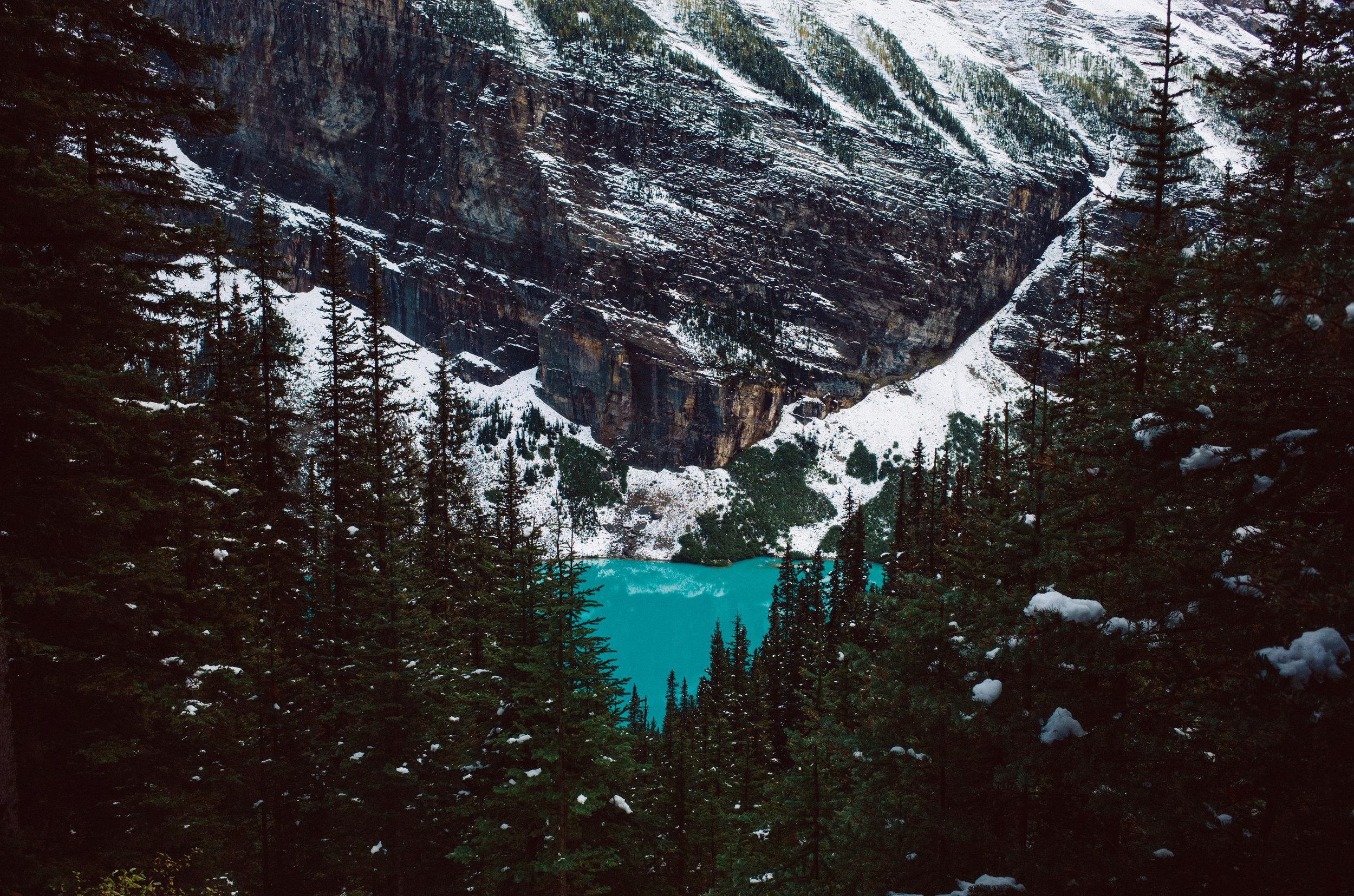 DW015314_SM.jpg