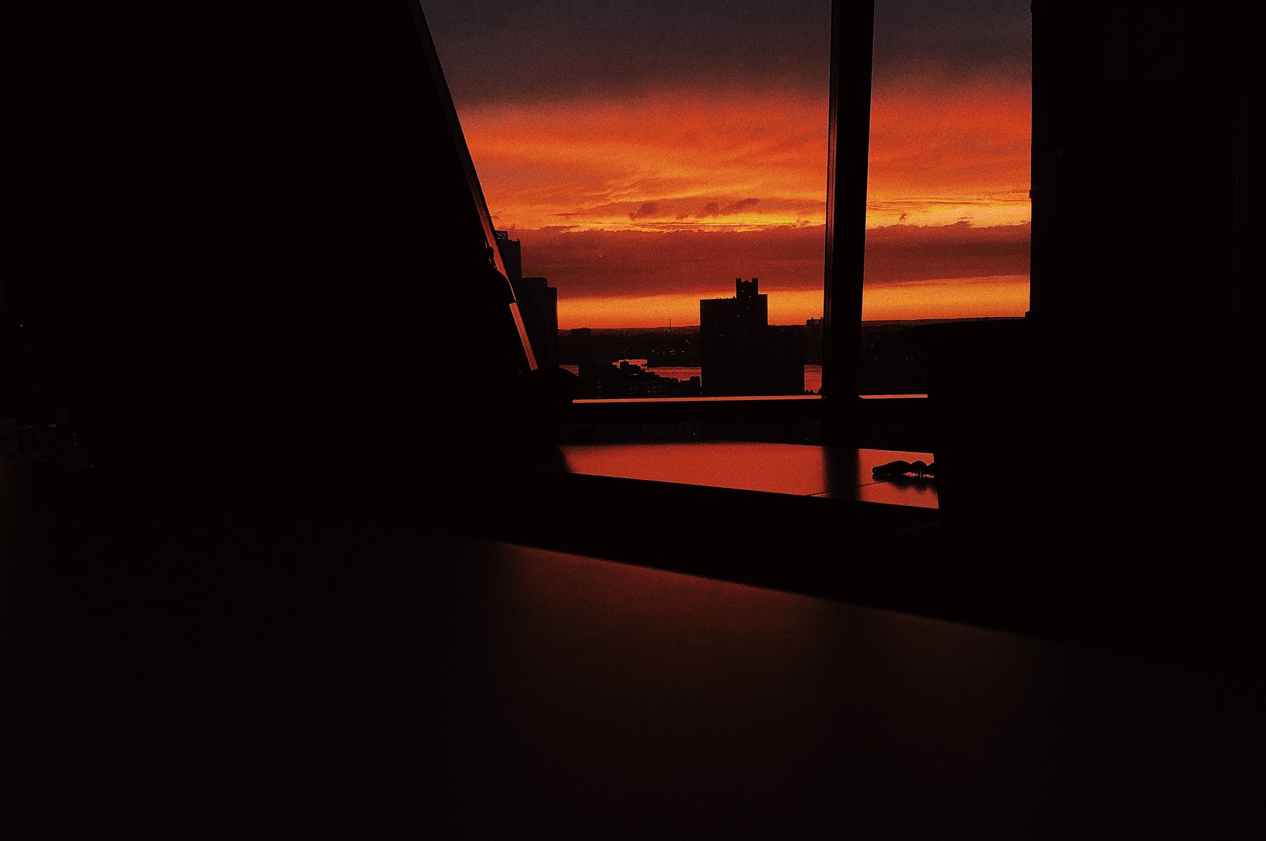 71A7853D-7AD3-44D8-86E9-8F2E4D8CBC44.JPG