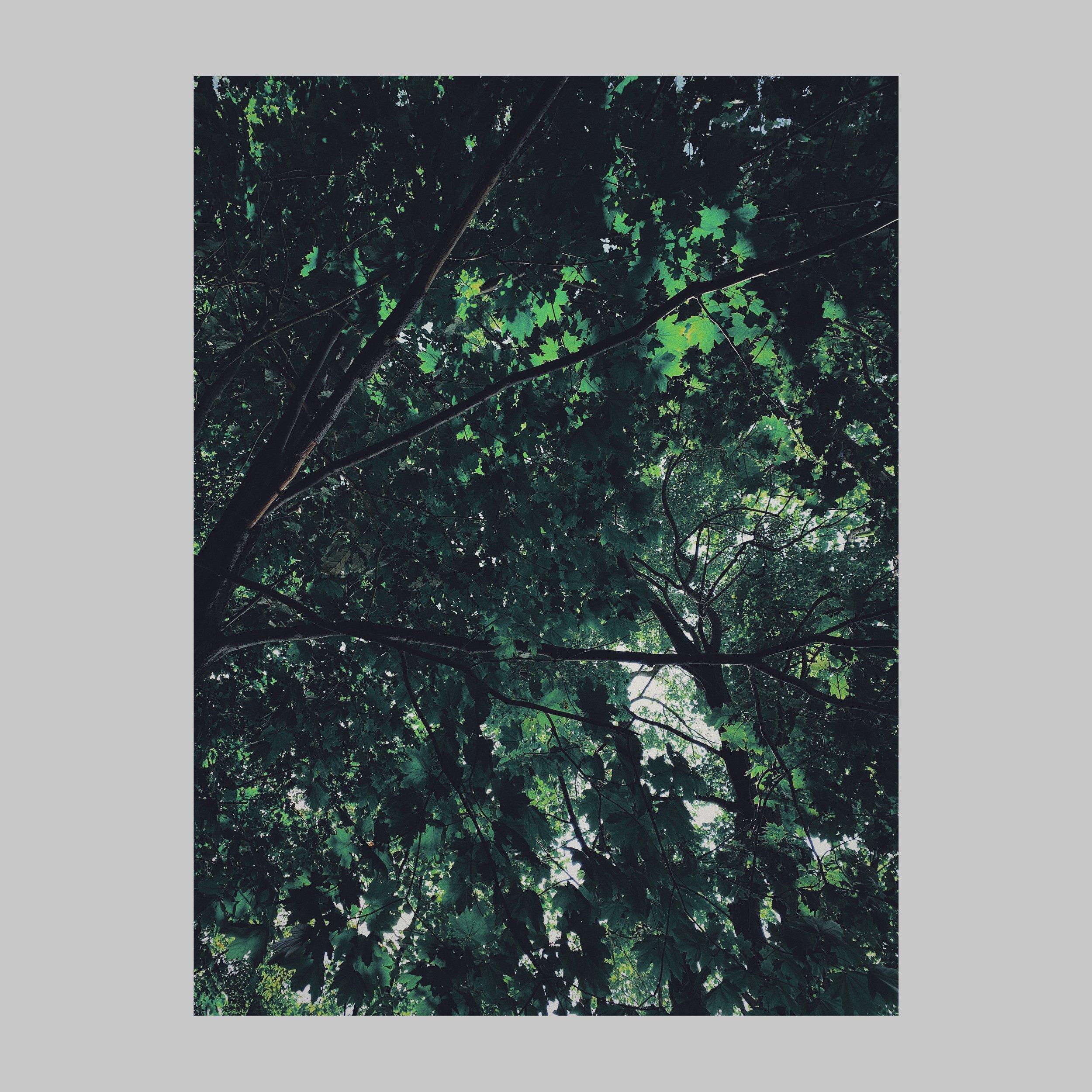 6A89565E-AF36-49E6-9830-6E1D20A857BA.JPG