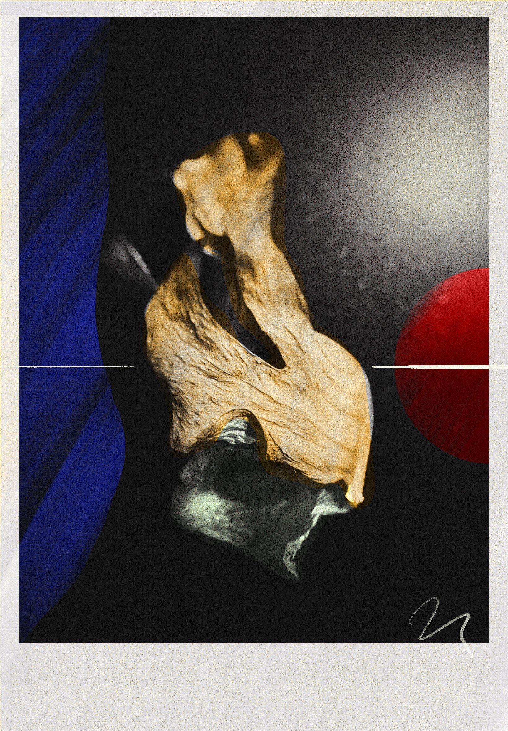 Monstera/Renew (Copy)