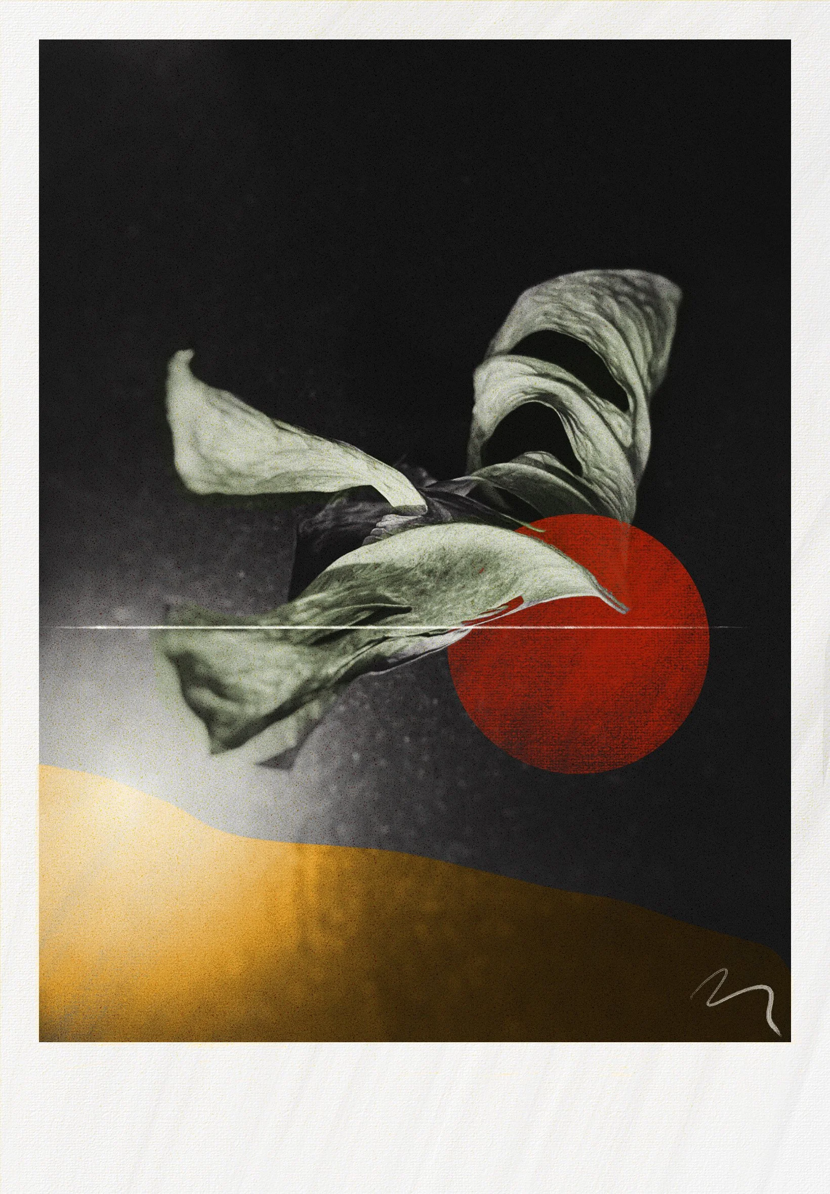 Monstera/Renew II (Copy)