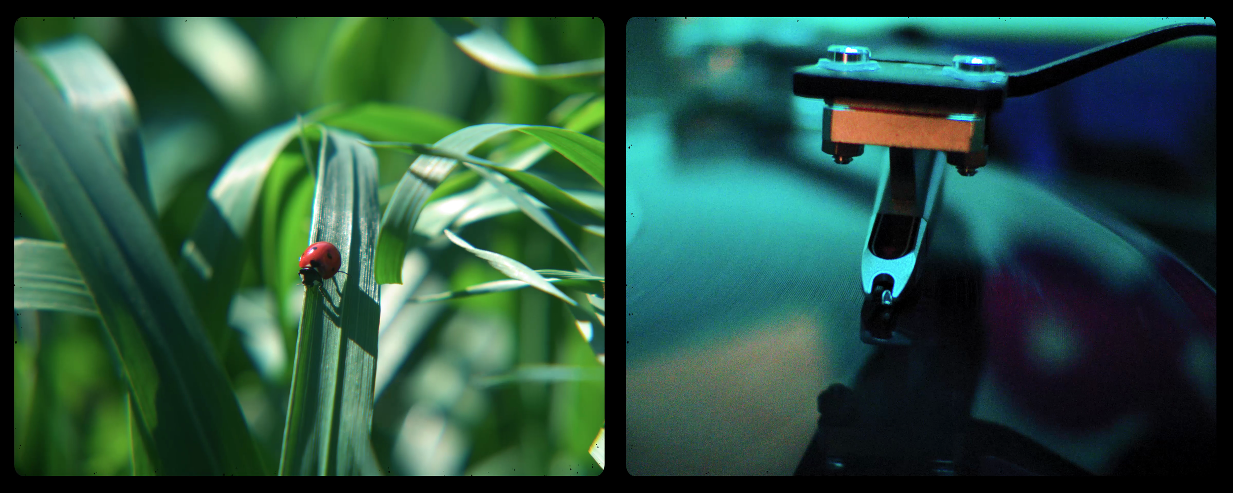 vlcsnap-2022-05-11-12h23m45s976.png