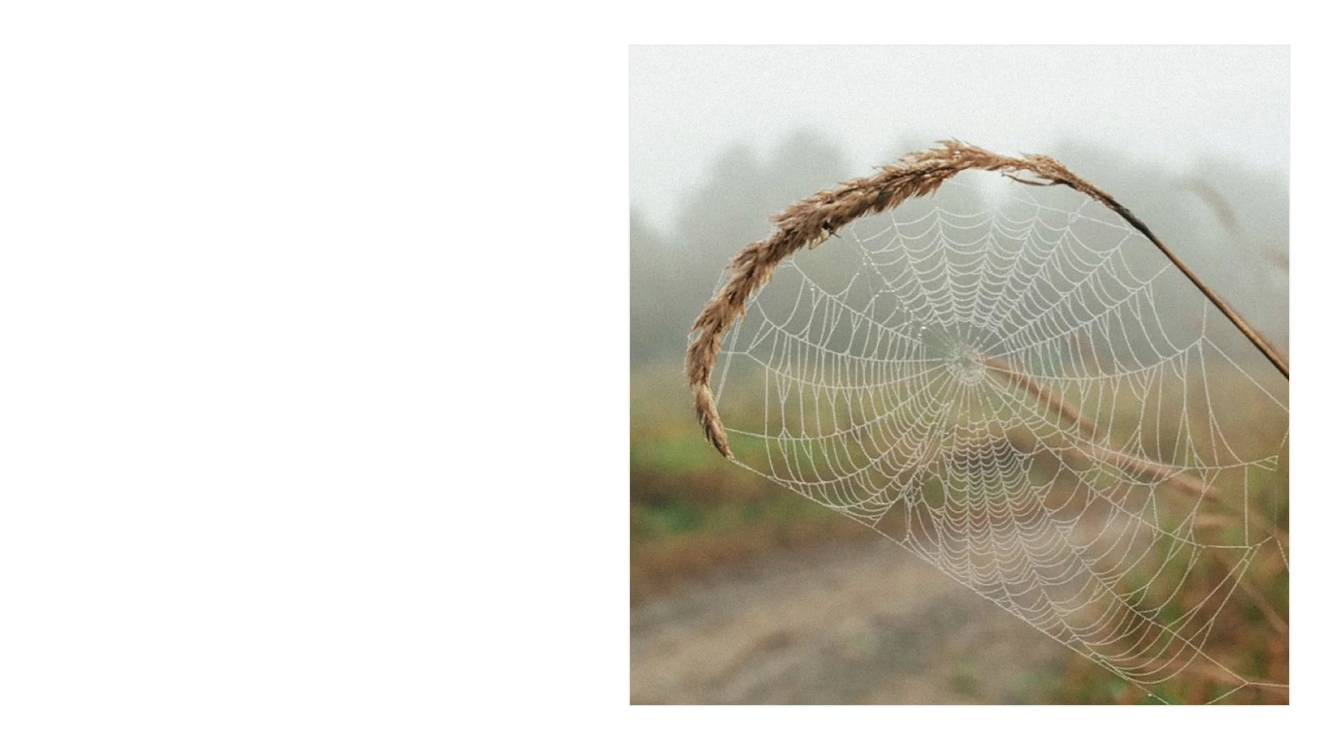 Slide Version.004.jpeg