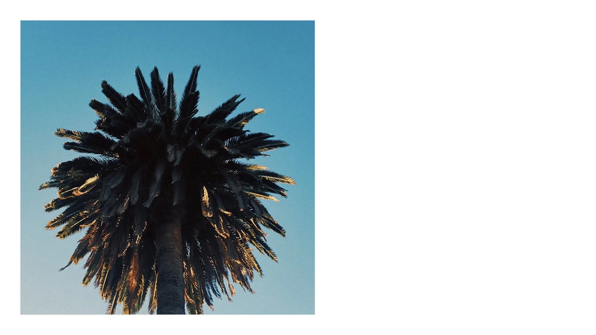 Slide Version.007.jpeg