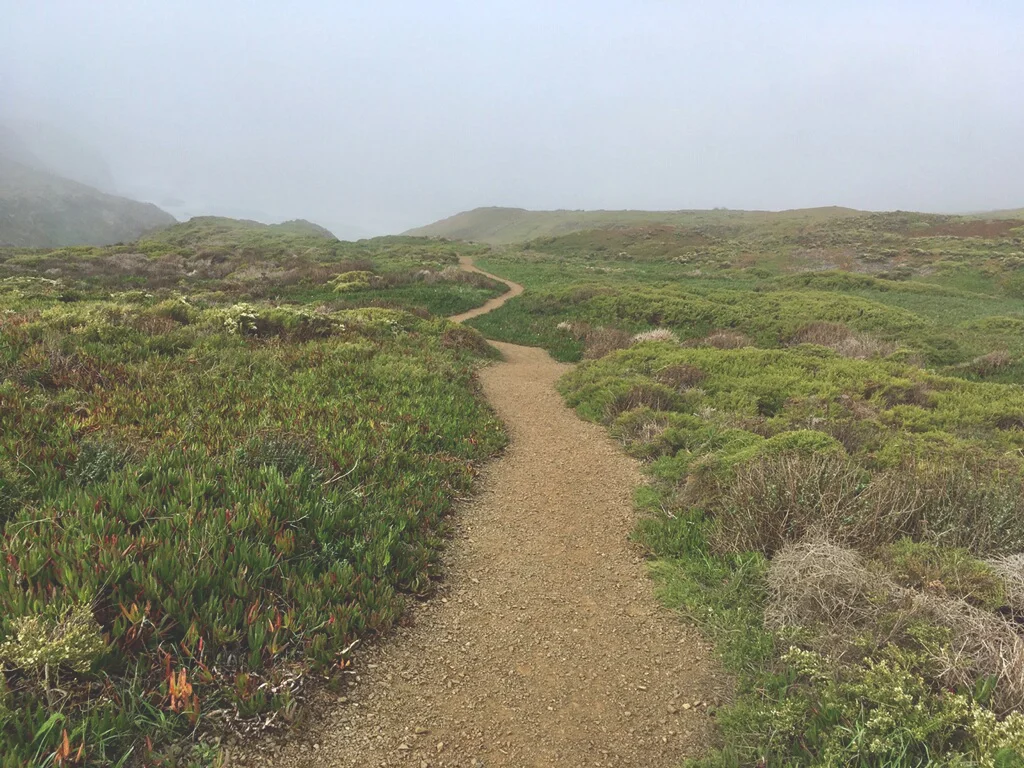 trail-hazy.jpg