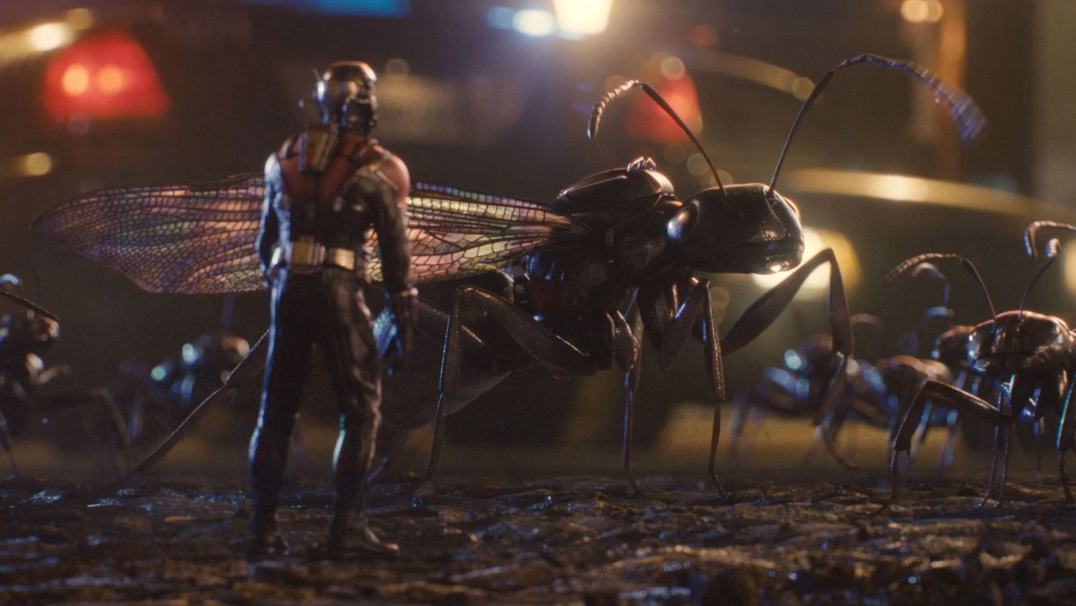 antman_ants.jpg