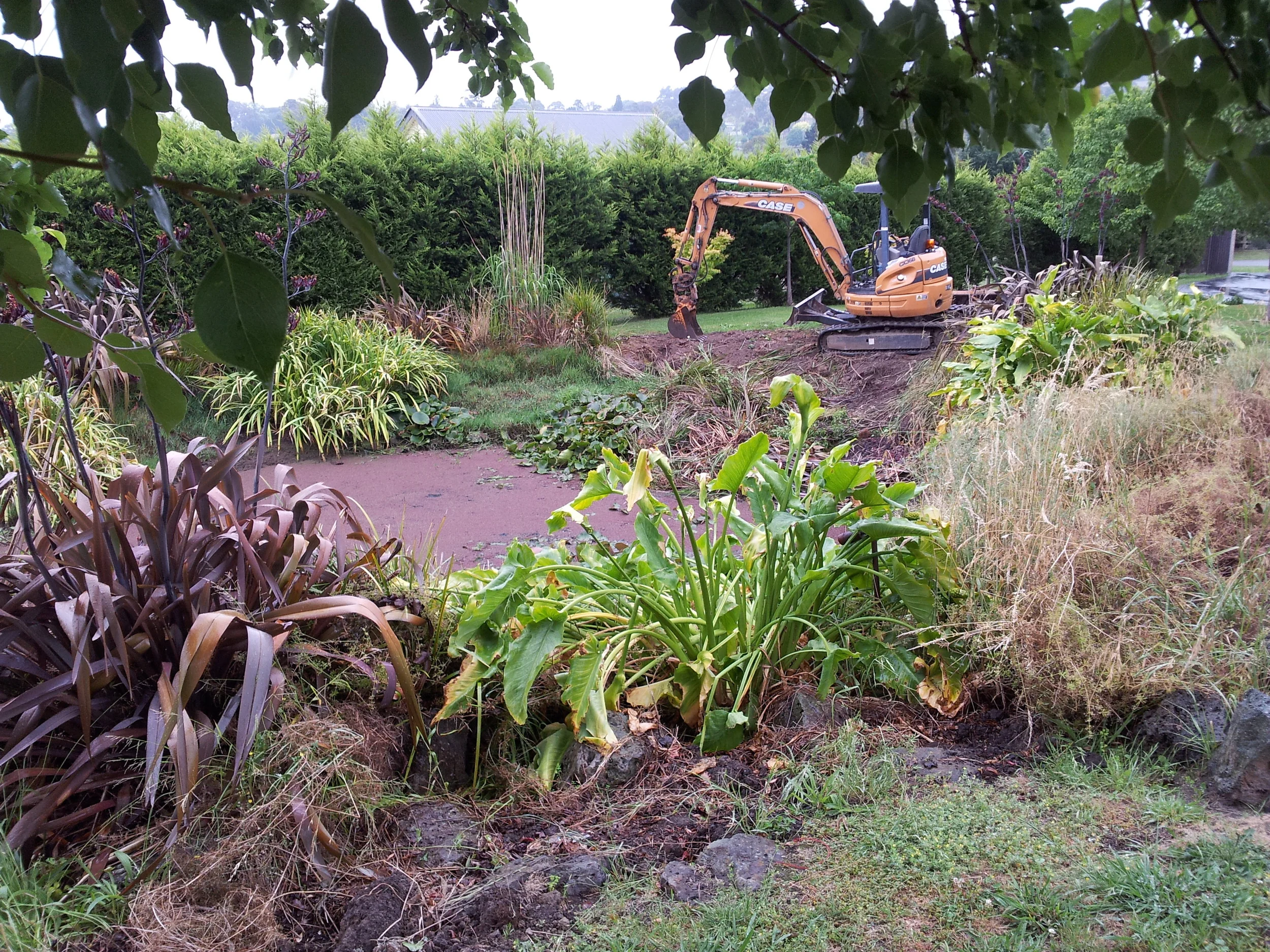 Dam Reclaimation