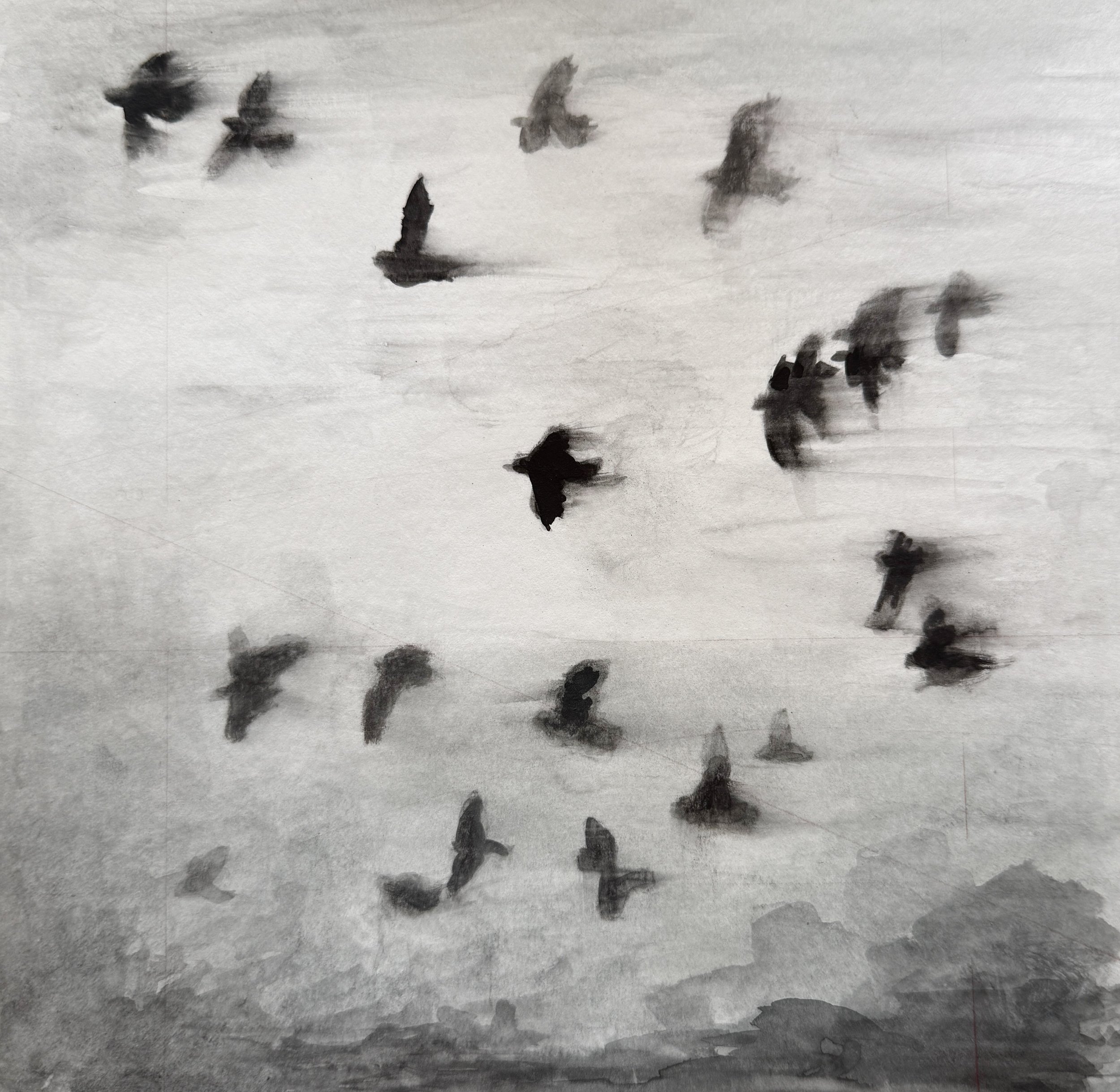 Flight Path, Charcoal, watercolor on paper, 8x8%22:12x12%22 framed.JPG