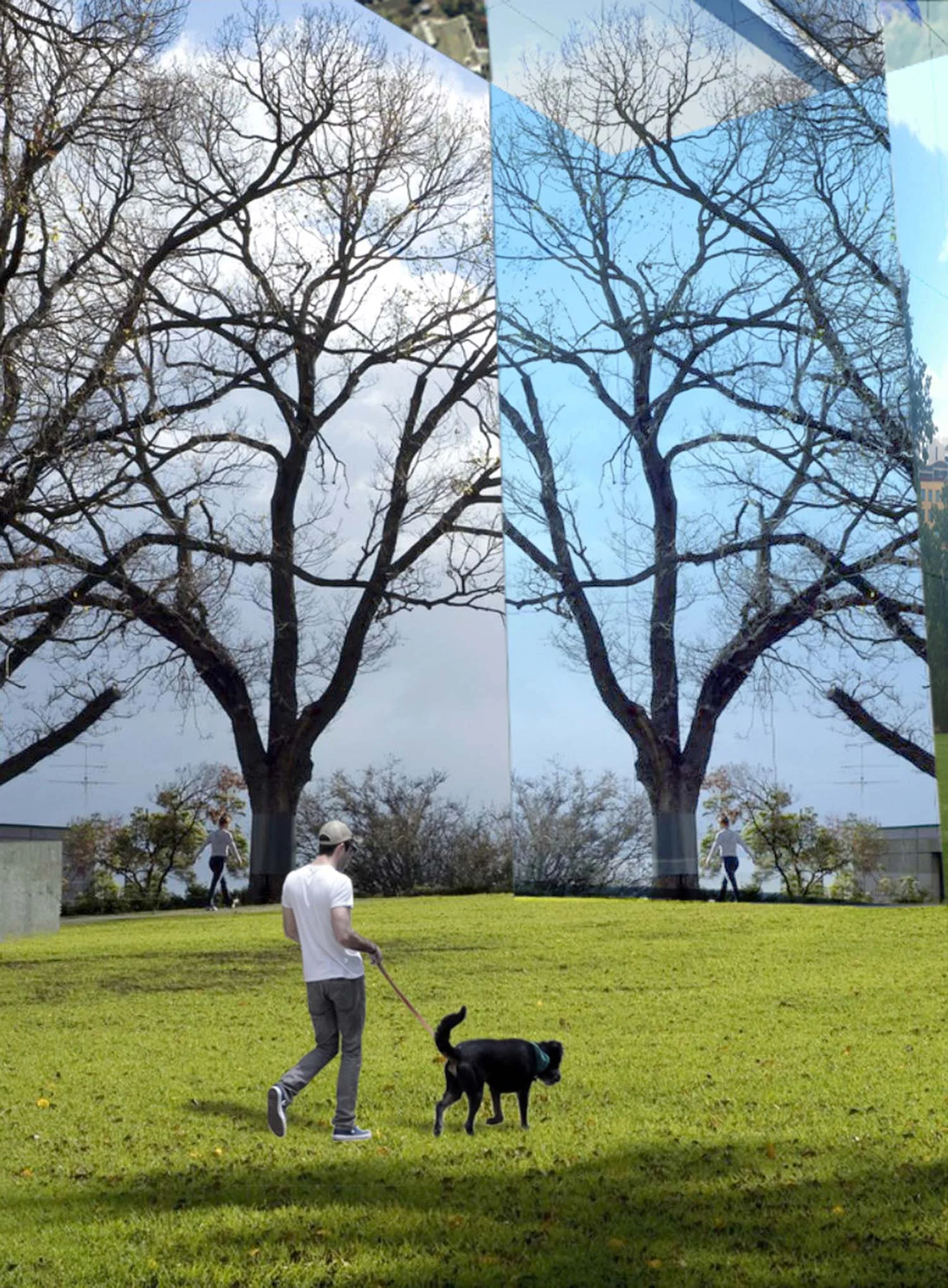 Ground_Level copy.jpg