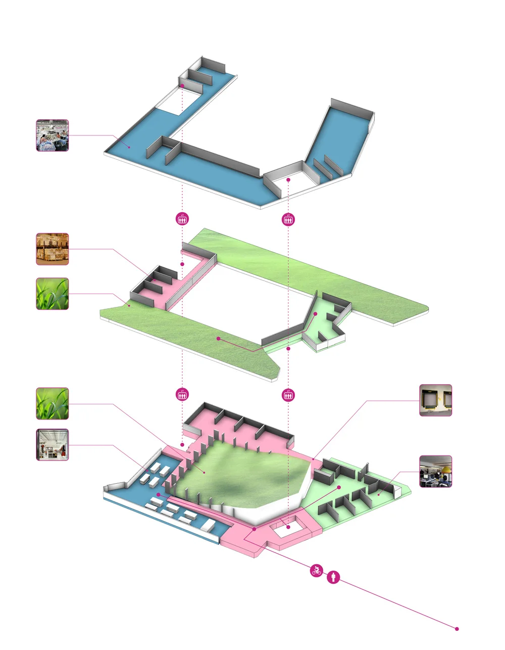 Axon Diagram