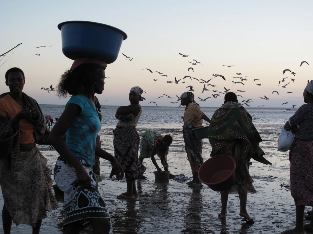 Evening catch. Mercado dos Pescadores, Maputo outskirts, Mozambique. January 2011.