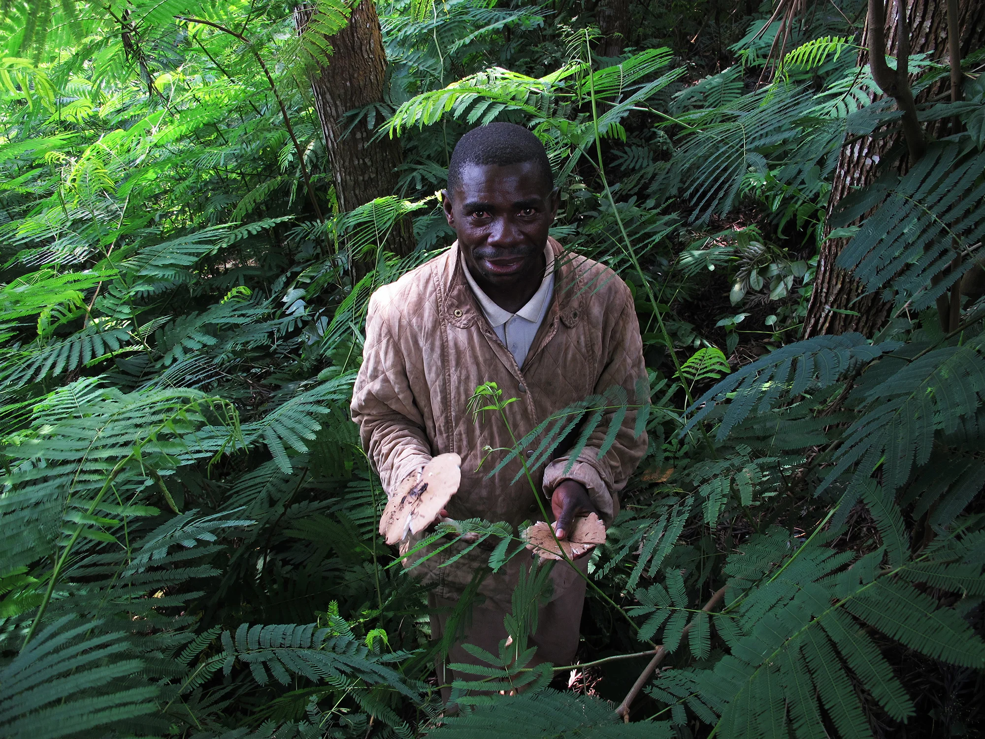 Pygmy mushroom forager . Idjwi Island, Lake Kivu, Democratic Republic of Congo. January 2014.