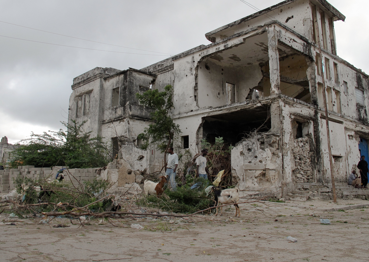 Livestock. Shangaani, Mogadishu, Somalia. August 2012.