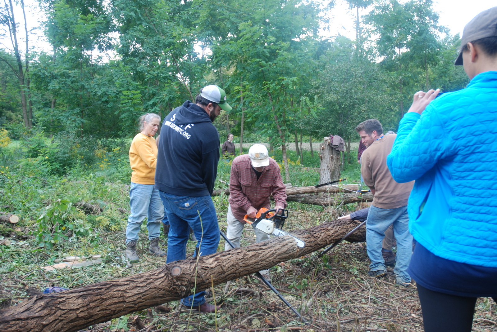 Cutting the posts to size