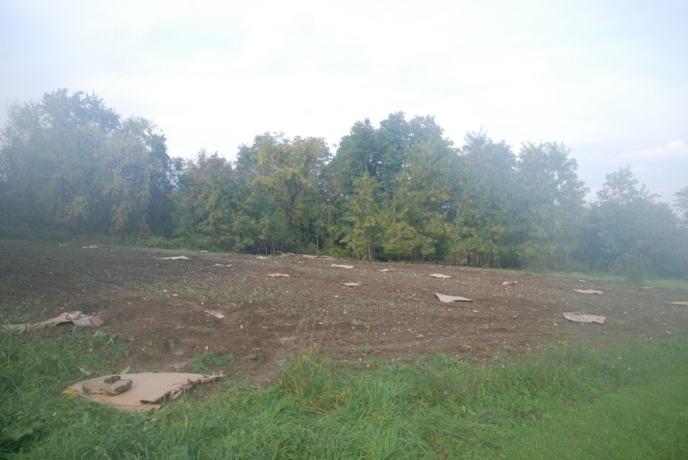 Holes in, then days of deluge. The cardboard boxes are our attempt to prevent erosion.