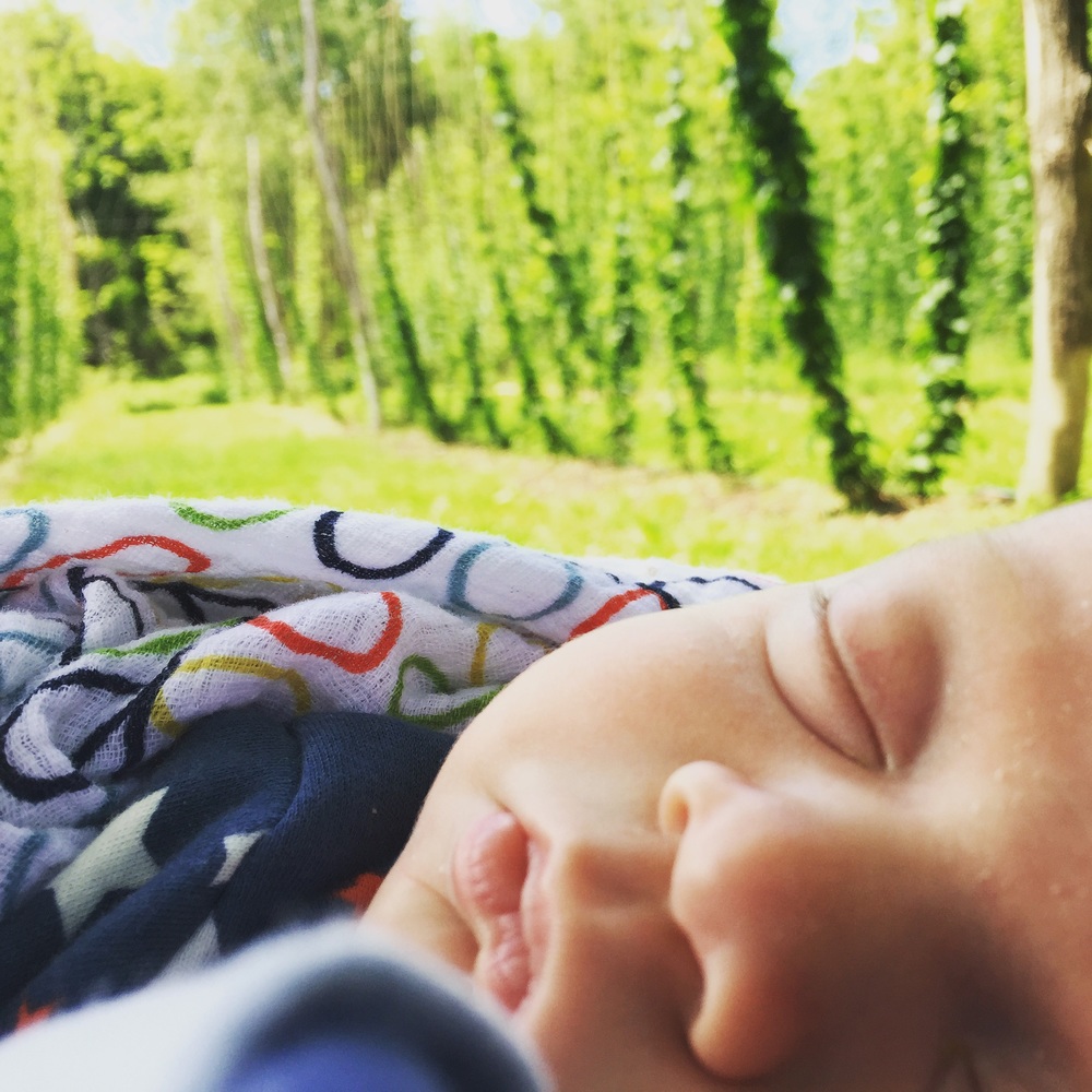 Three-week-old Toby snoozes in the shade 