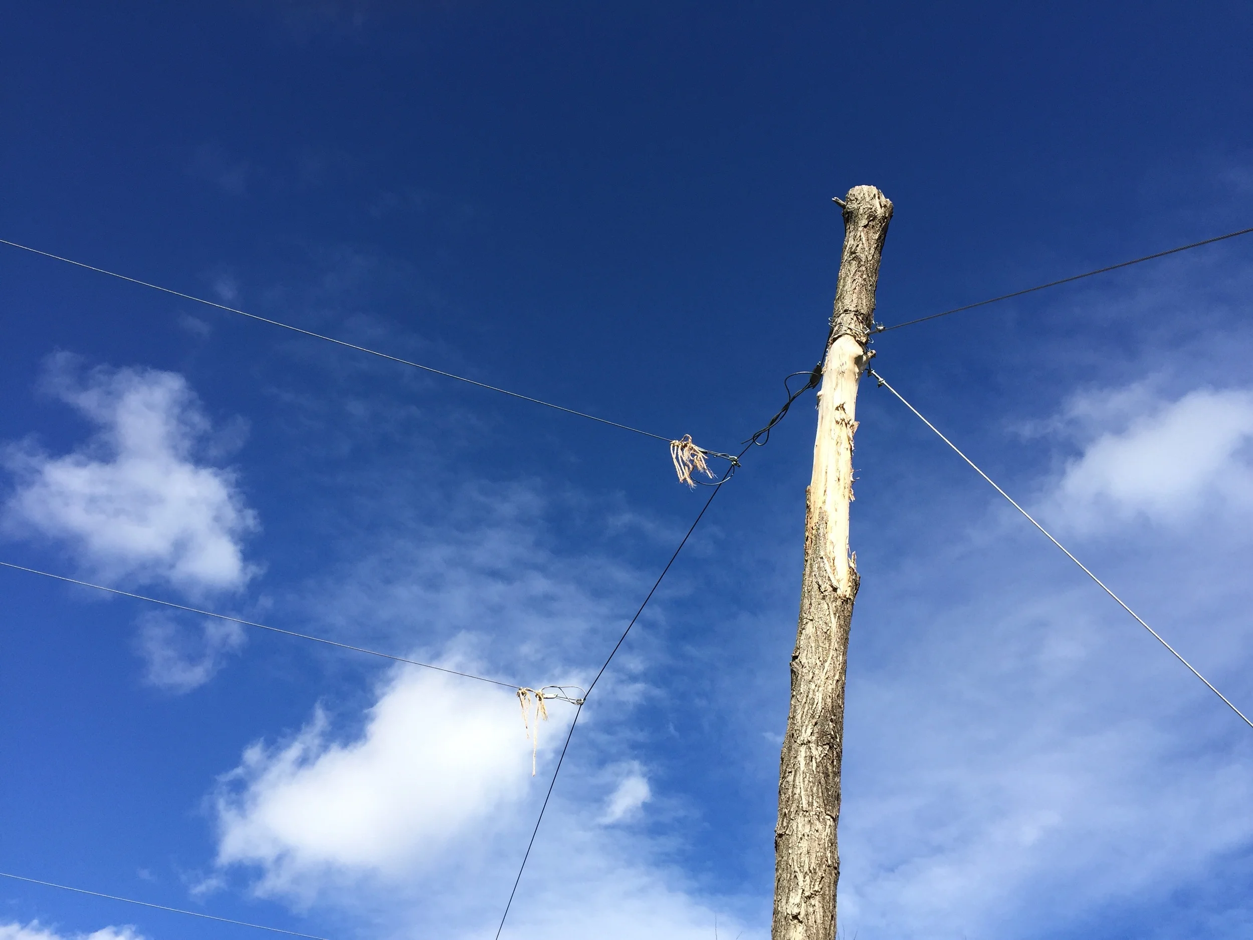 Coir ends on the wire 