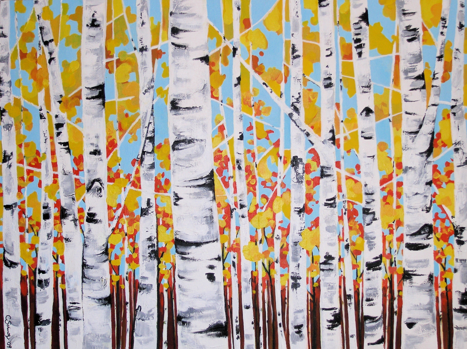 Birch Woods