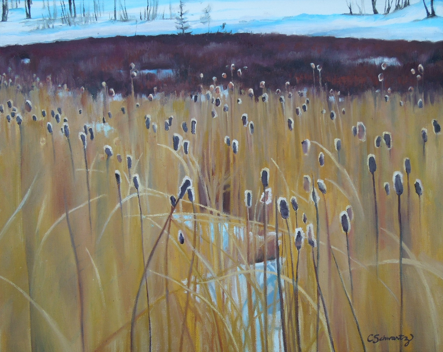 Cattails