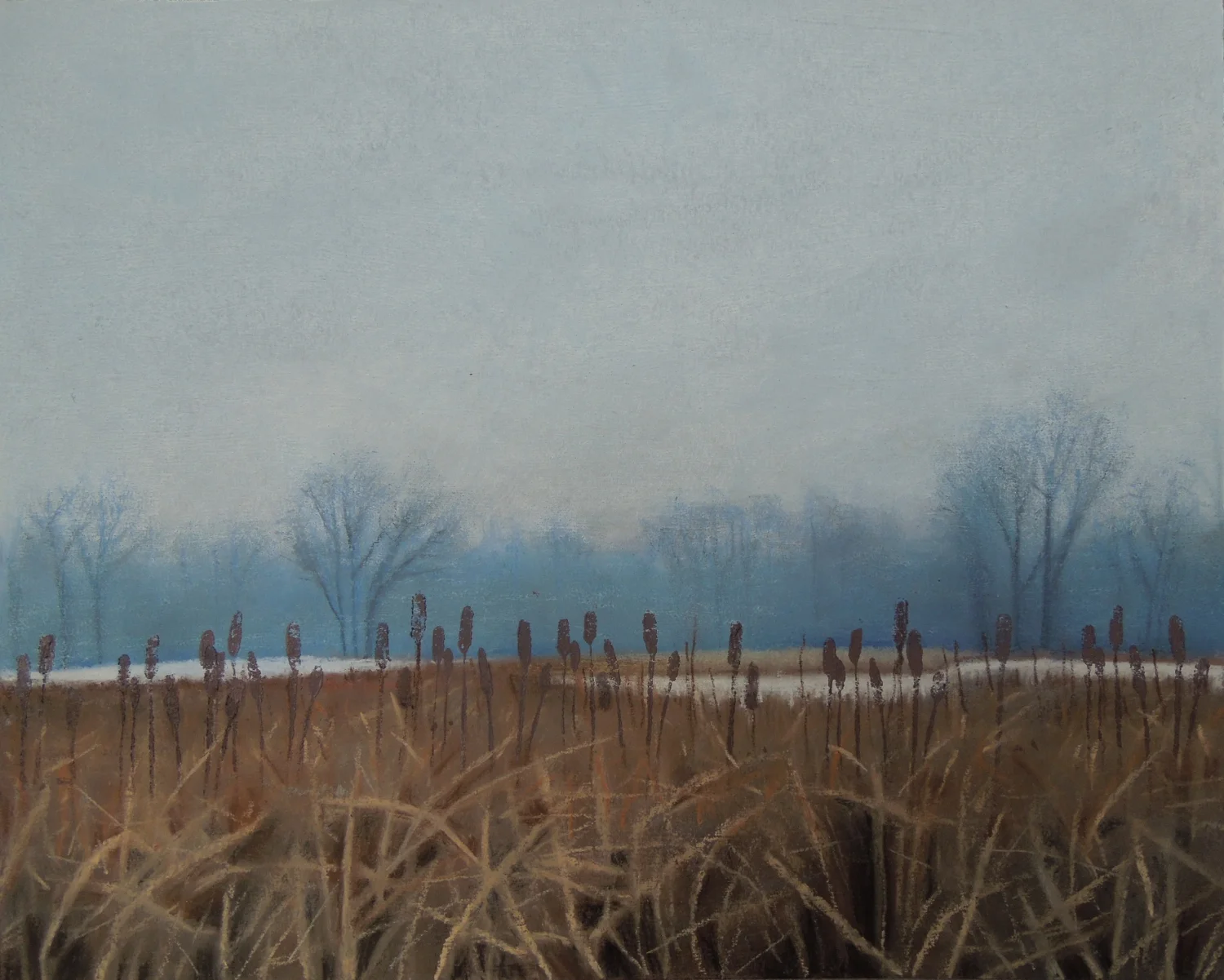 Cattails