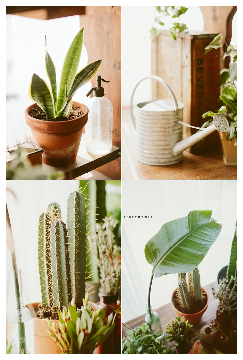 part one  _ Highlights from April mini session 2016