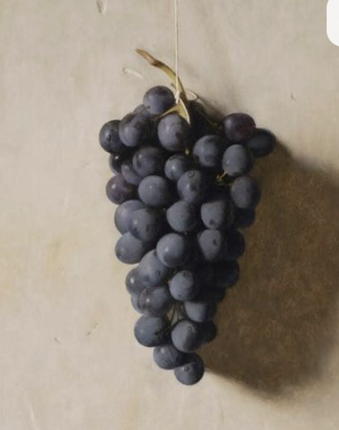 Screenshot 2026-03-03 at 12.48.51 AM.png