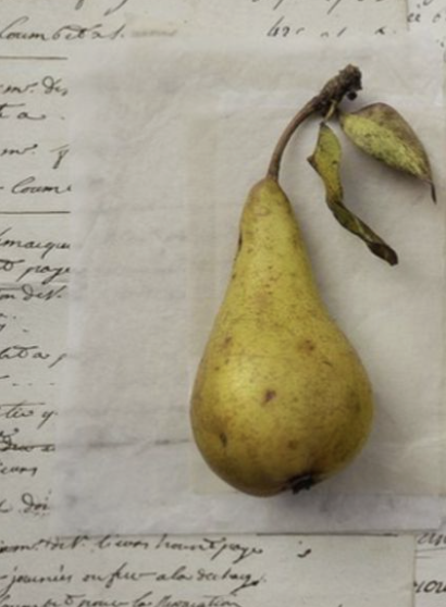 Screenshot 2026-03-03 at 12.49.22 AM.png