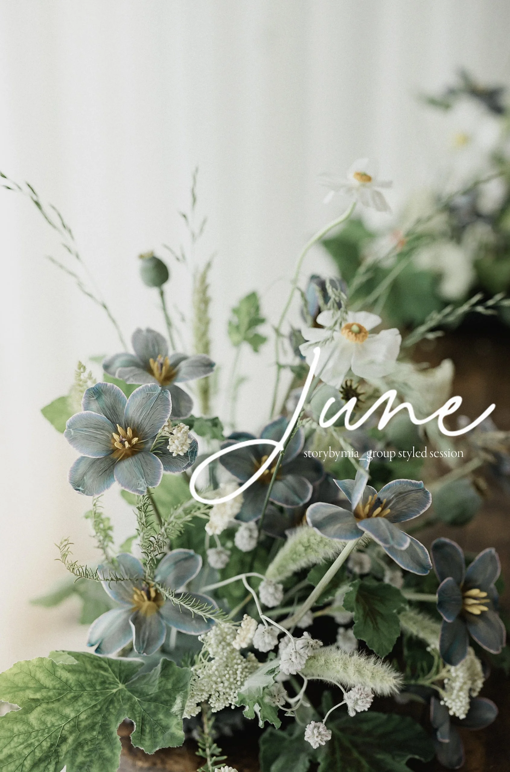 June_ group styledsession