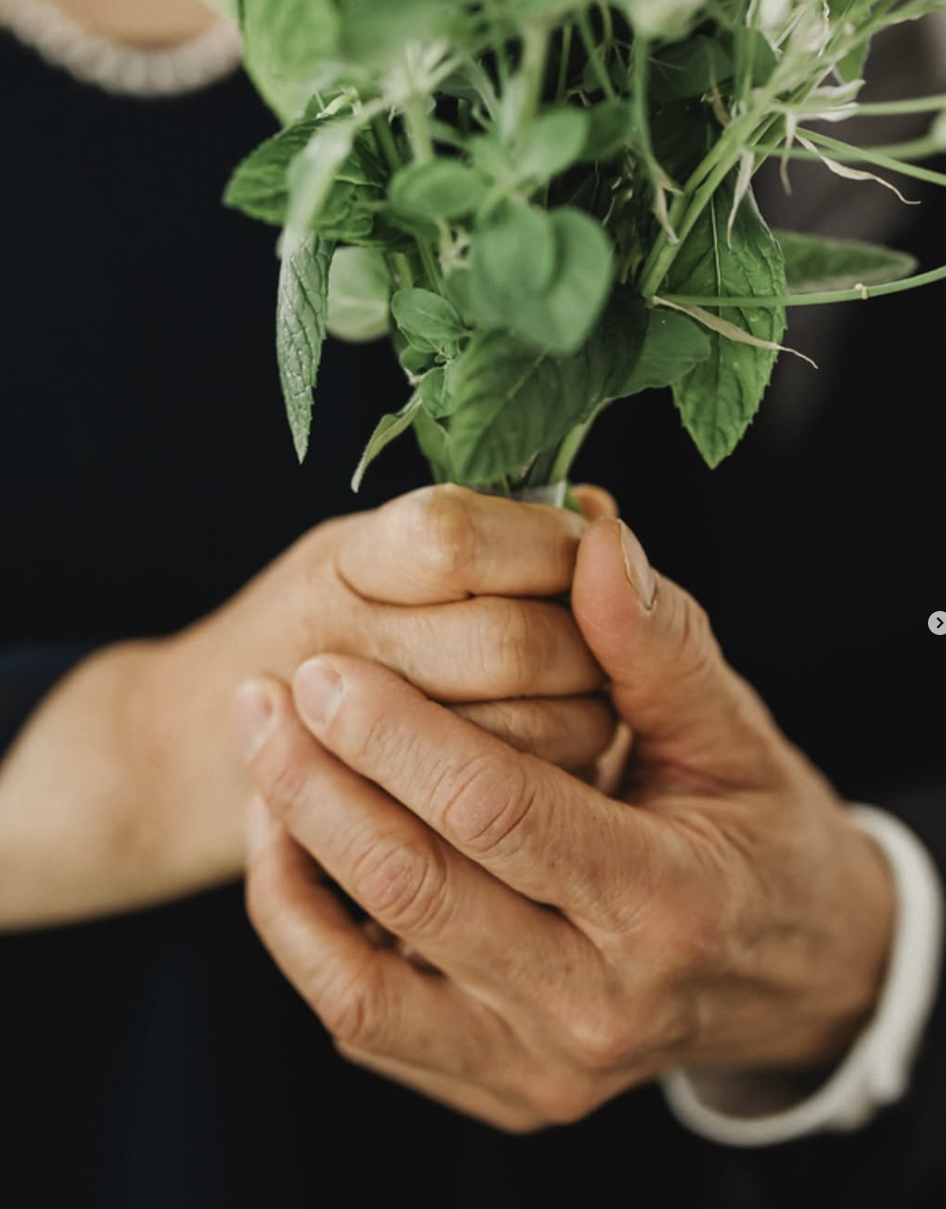 Screen Shot 2025-02-23 at 12.06.48 AM.png