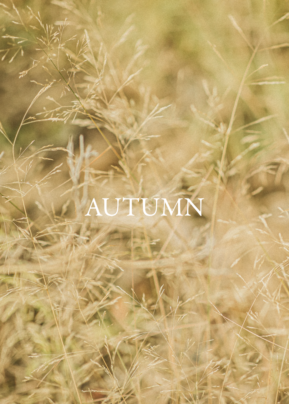 Screen Shot 2026-04-20 at 9.15.39 PM.png