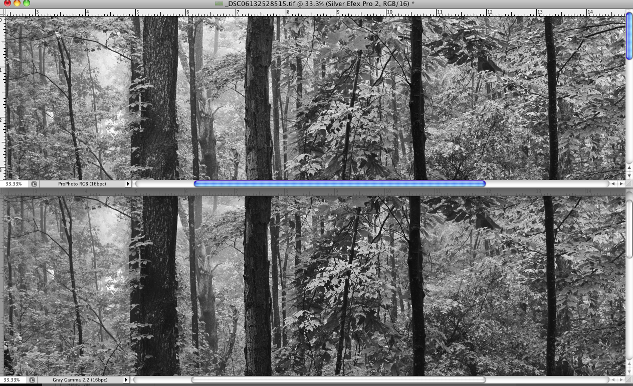 Top: Capture 1 processing, color export and B&W conversion with Silver Efex Bottom: Capture 1 processing and B&W conversion