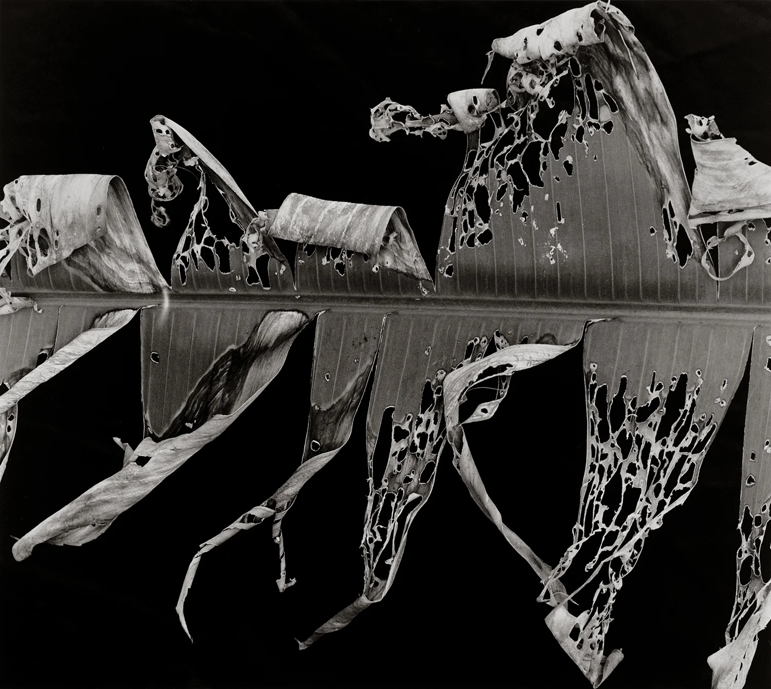 Example of a quadtone separation with an approximation of the ink color and final contrast 