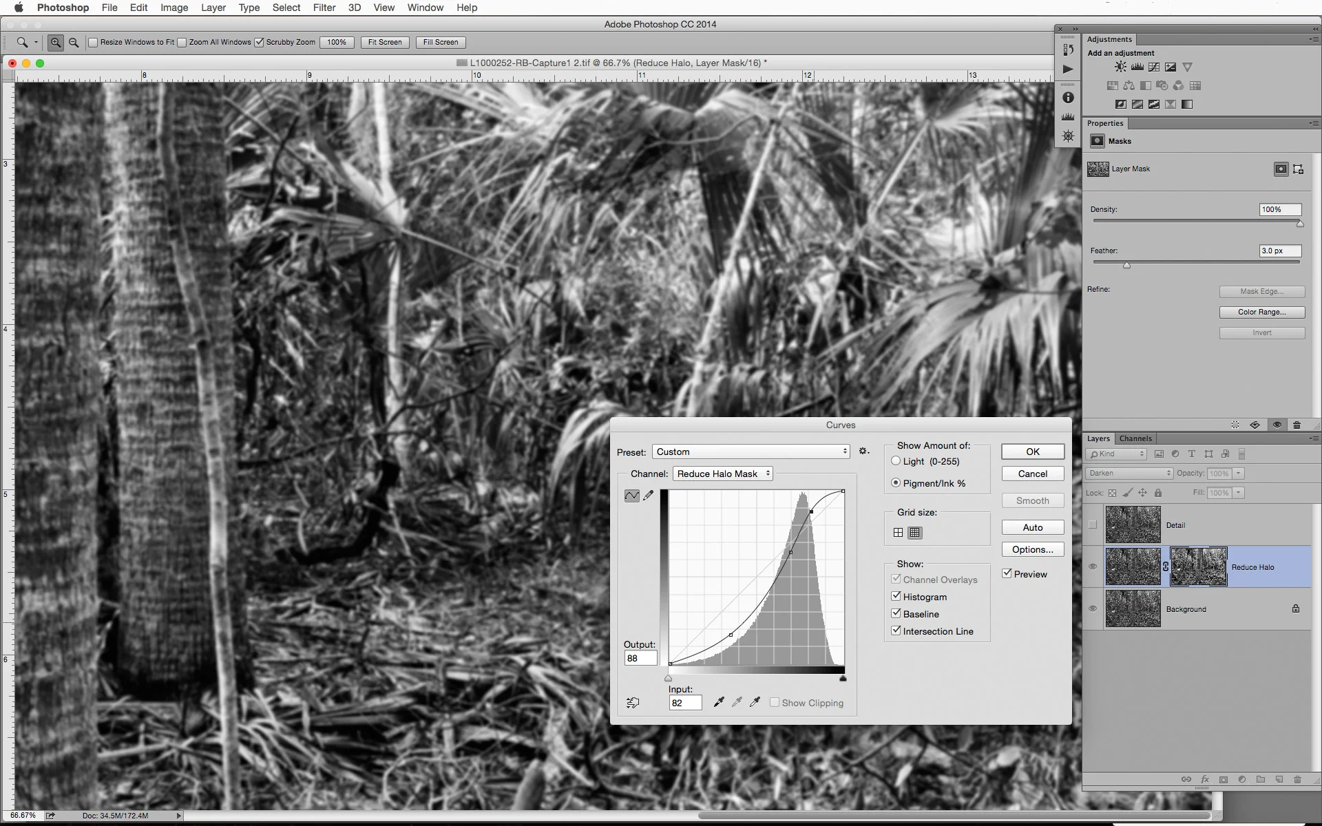 Detail Enhancements Using Unsharp Mask Filters and Layer Mask Techniques