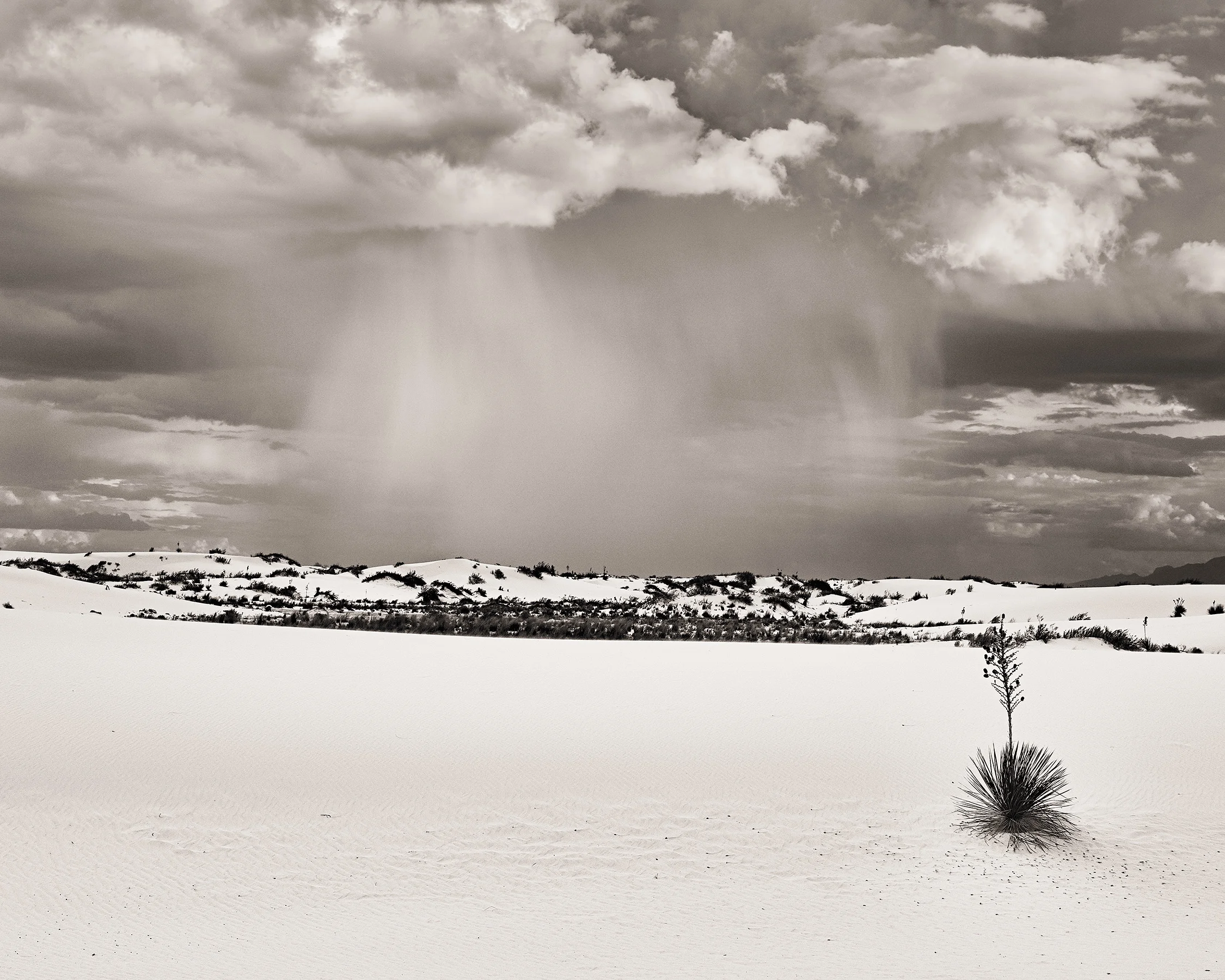 August 2015 Exhibition Announcement