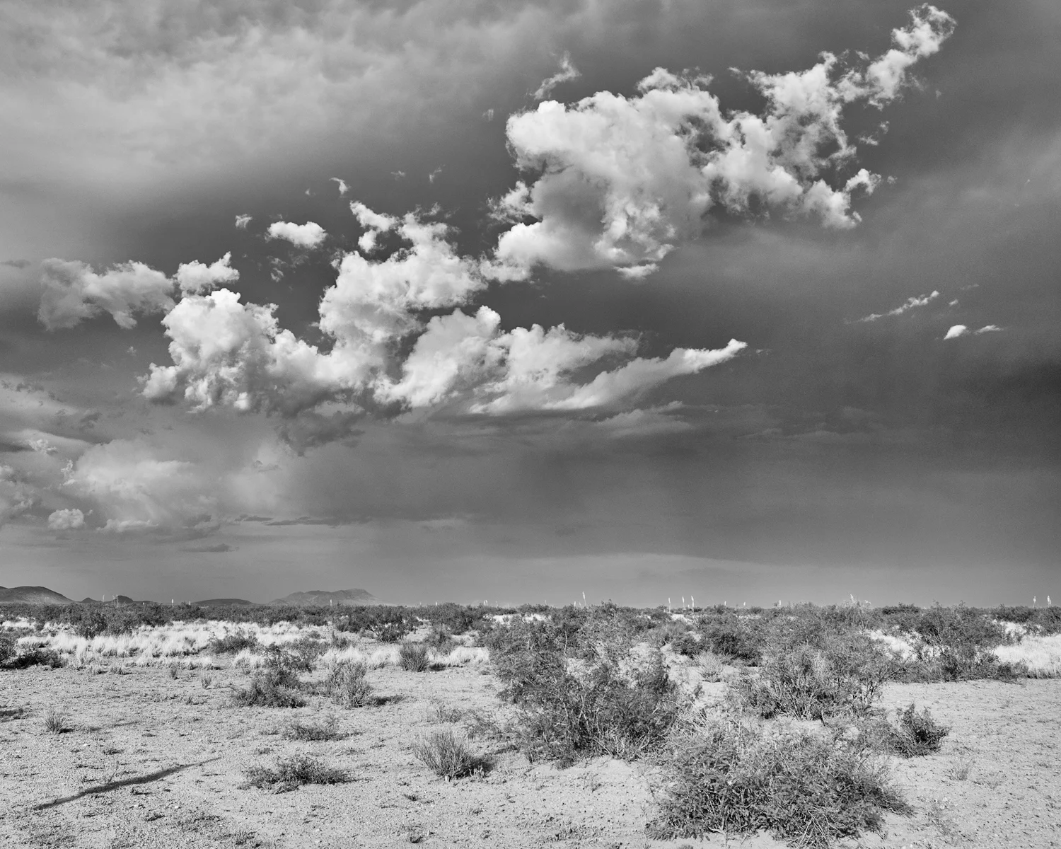 ILCC Part 3: Outflanking the Digital Print