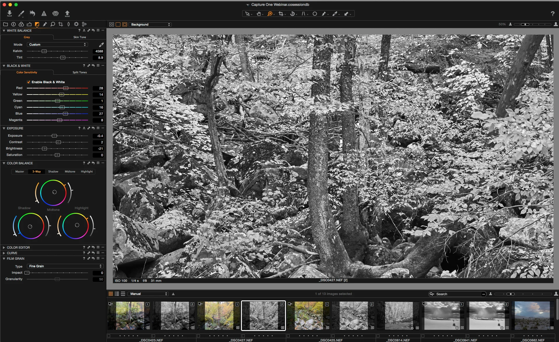 Black and White with Capture 1 Pro - Part 1: Custom Workspaces