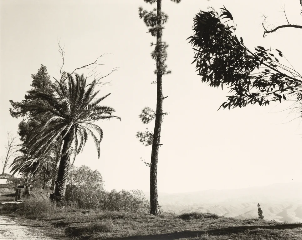Edge of San Timoteo, San Bernardino County, California Robert Adams from Los Angeles Spring