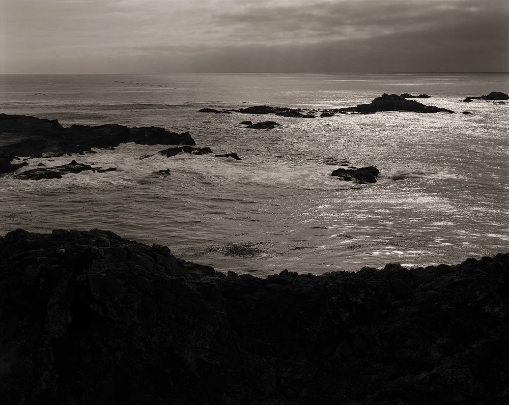 Point Lobos, 2002