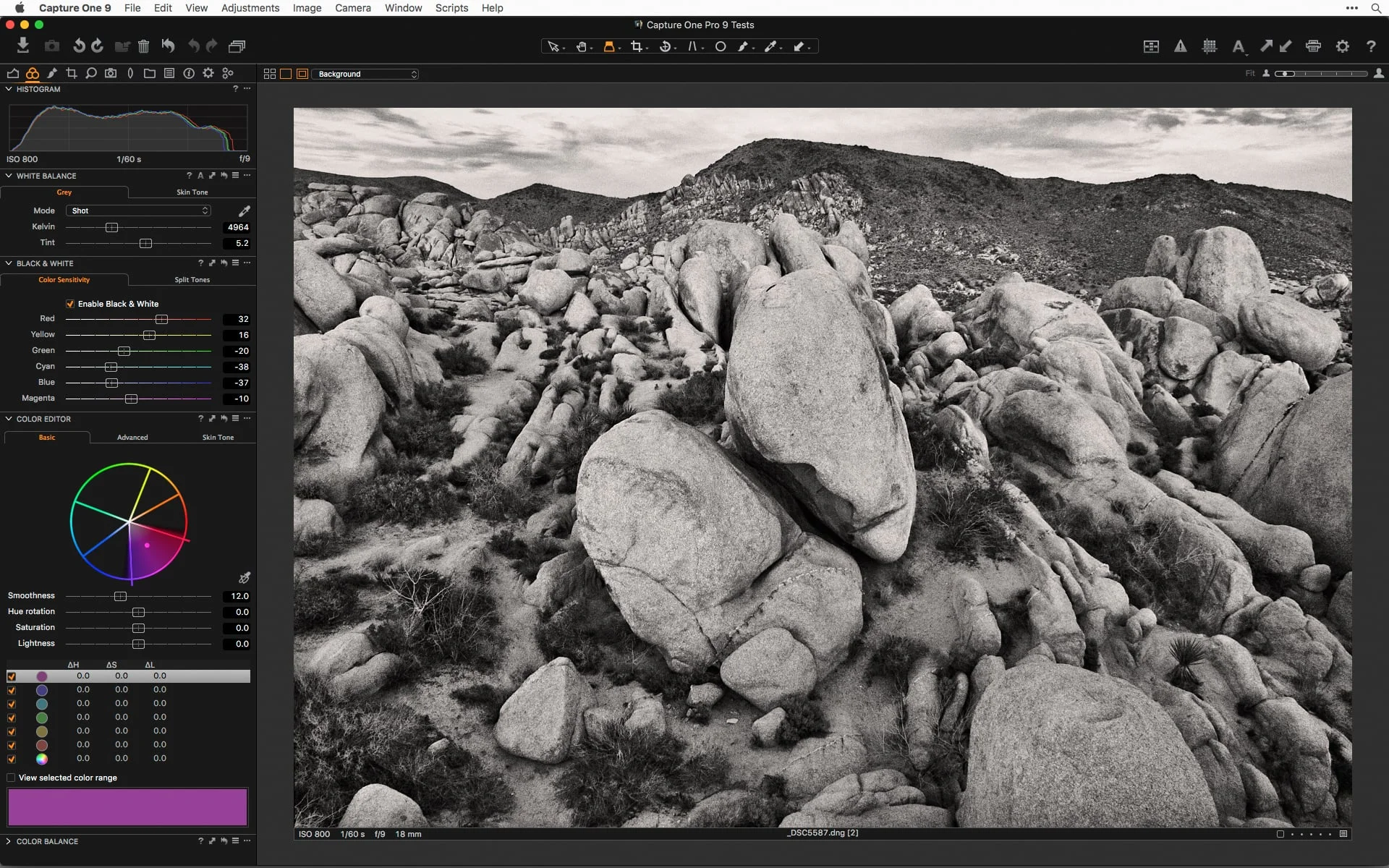 Capture One Pro 9 for black and white.jpg