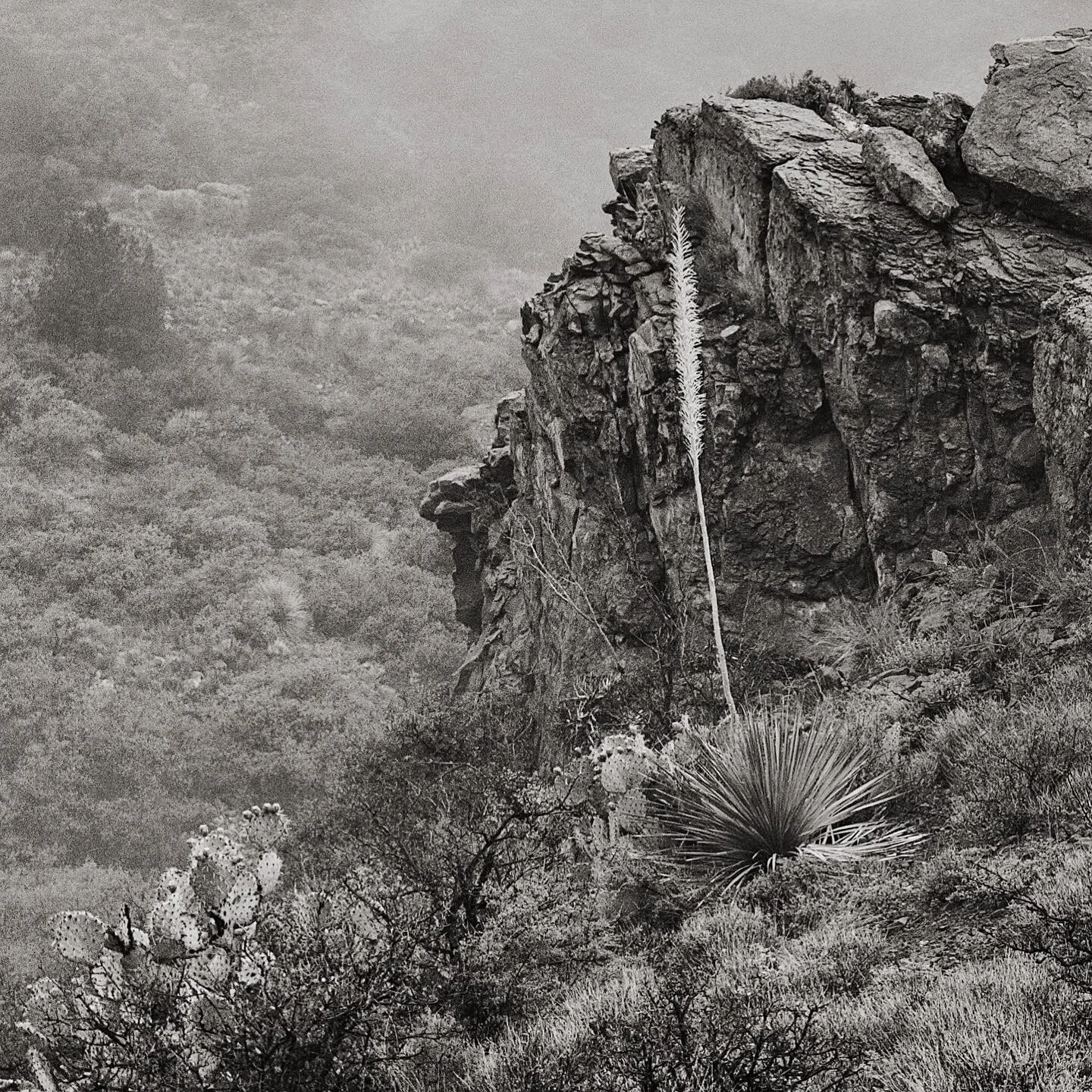 AC5E0117-DC5A-408B-9845-DADA0F1084B3