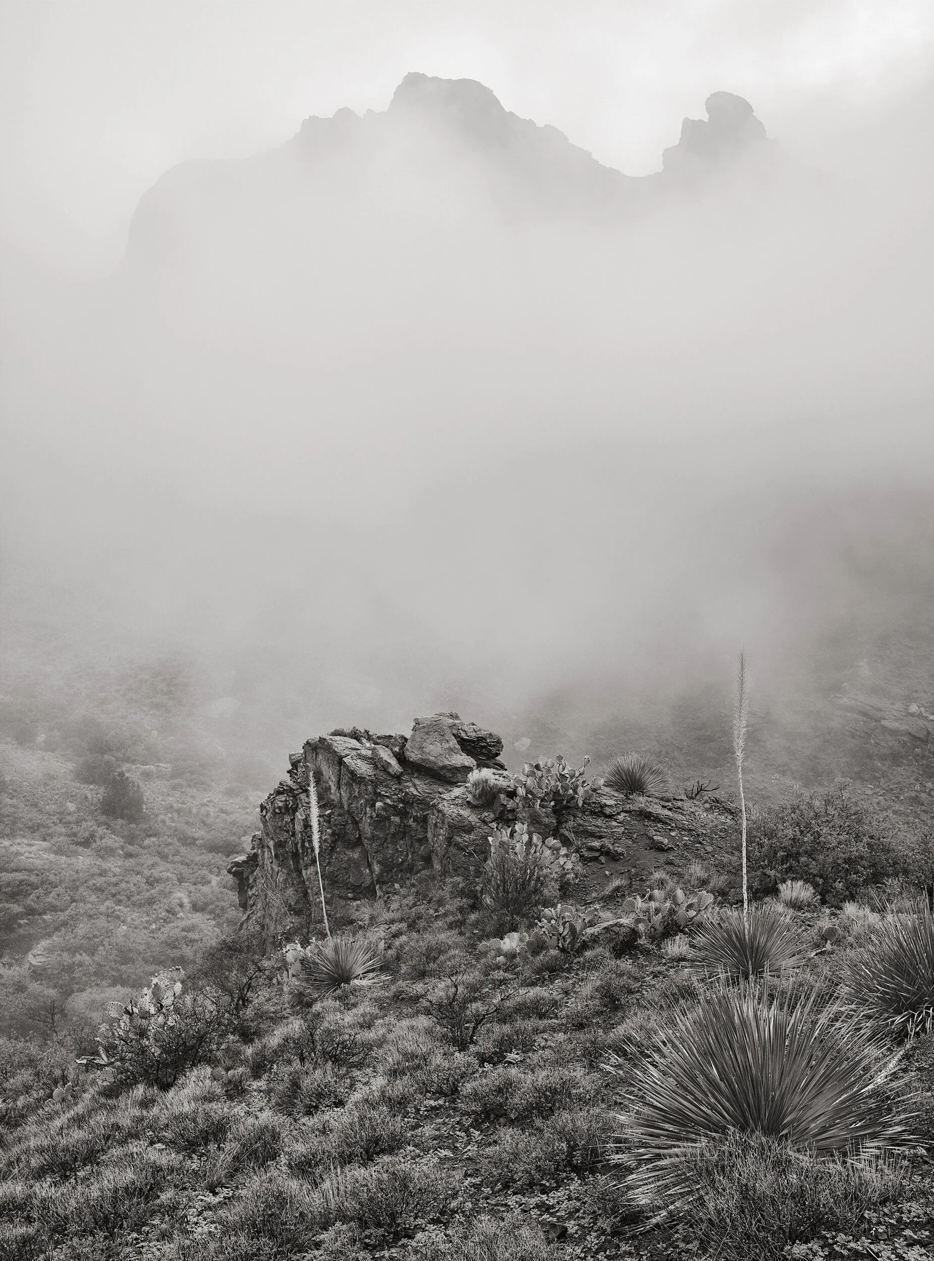 053FC4B3-54CC-42BA-A819-E48B65E74DF5