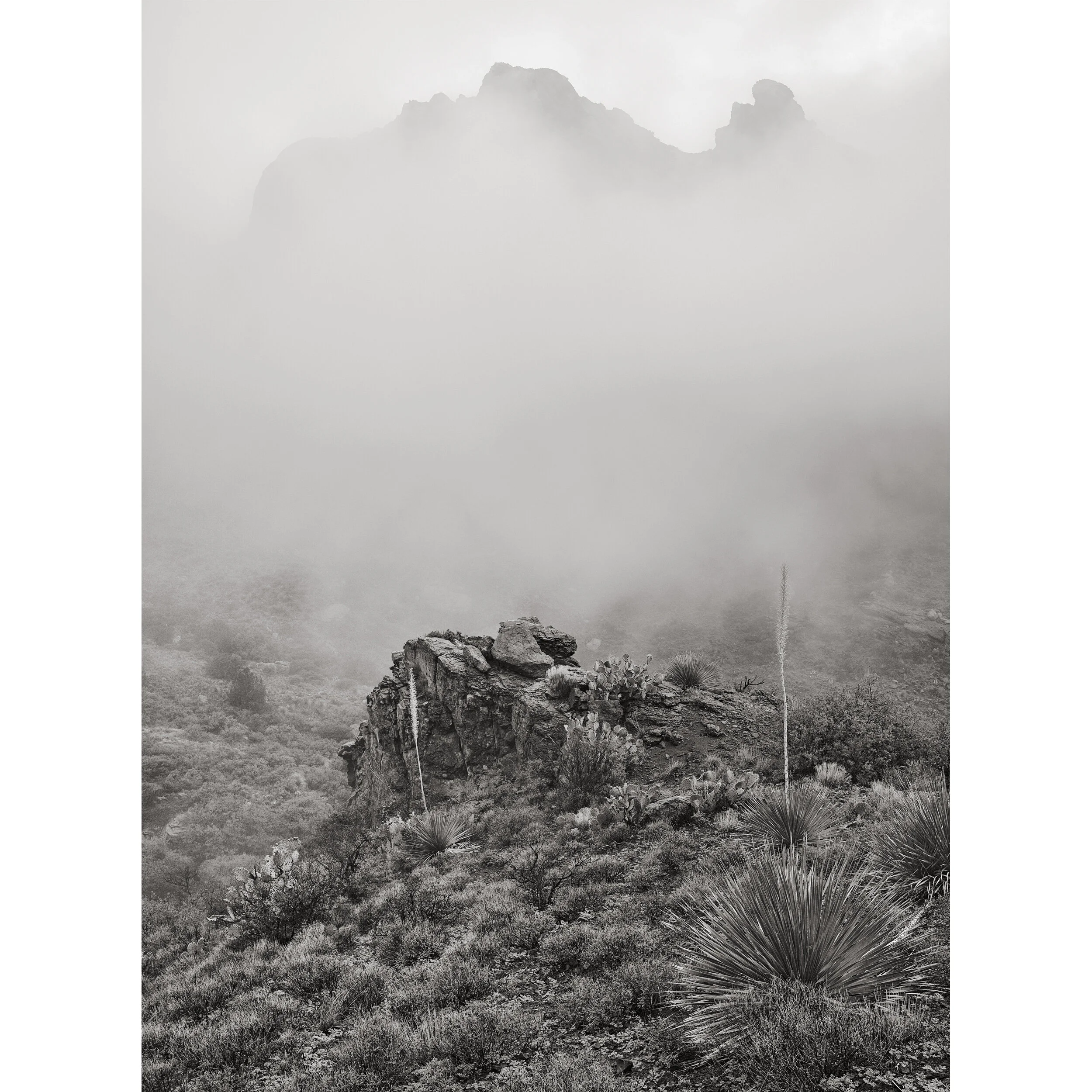 98F48243-4AE1-49CD-A8D8-6377BF8A6582